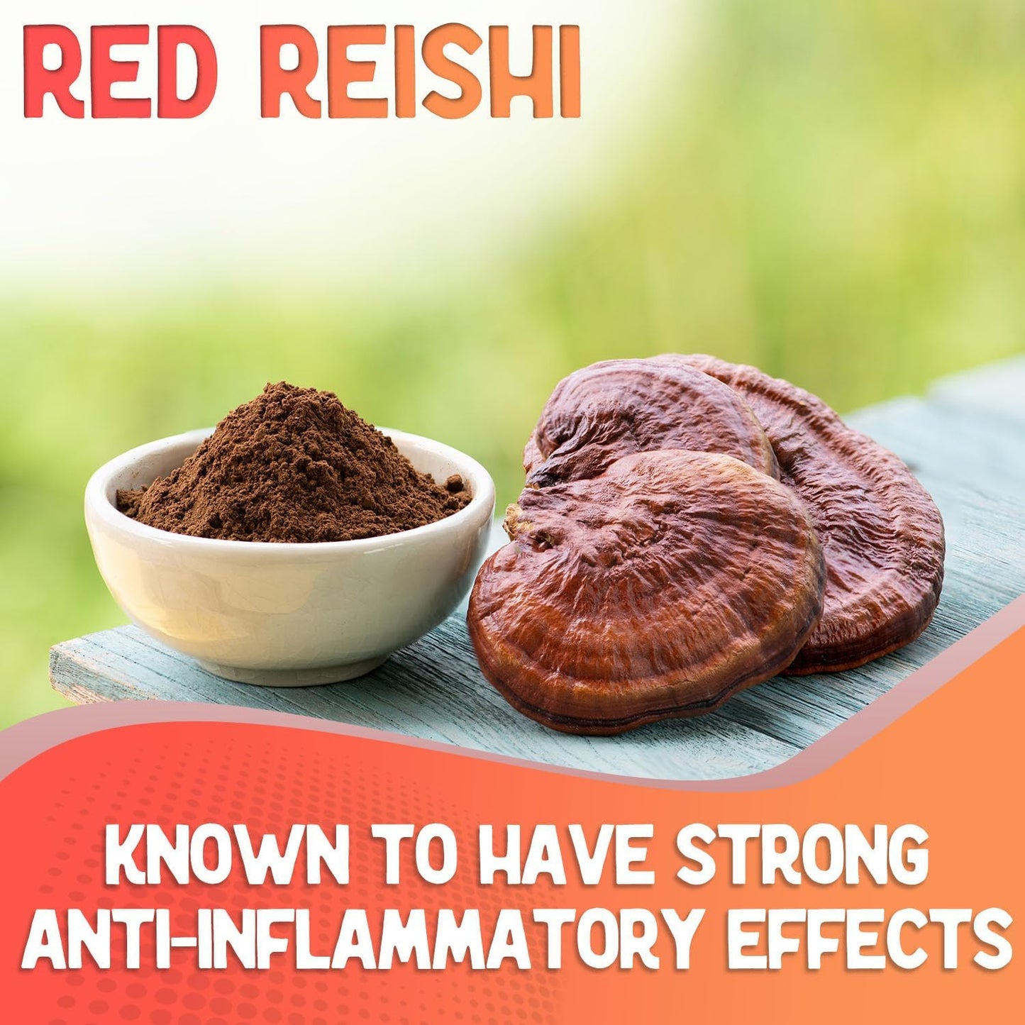 Organic Mushroom Powder Blend with Lion's Mane, Reishi, Chaga, and Cordyceps - 8 Ounce for Mental Clarity and Immunity