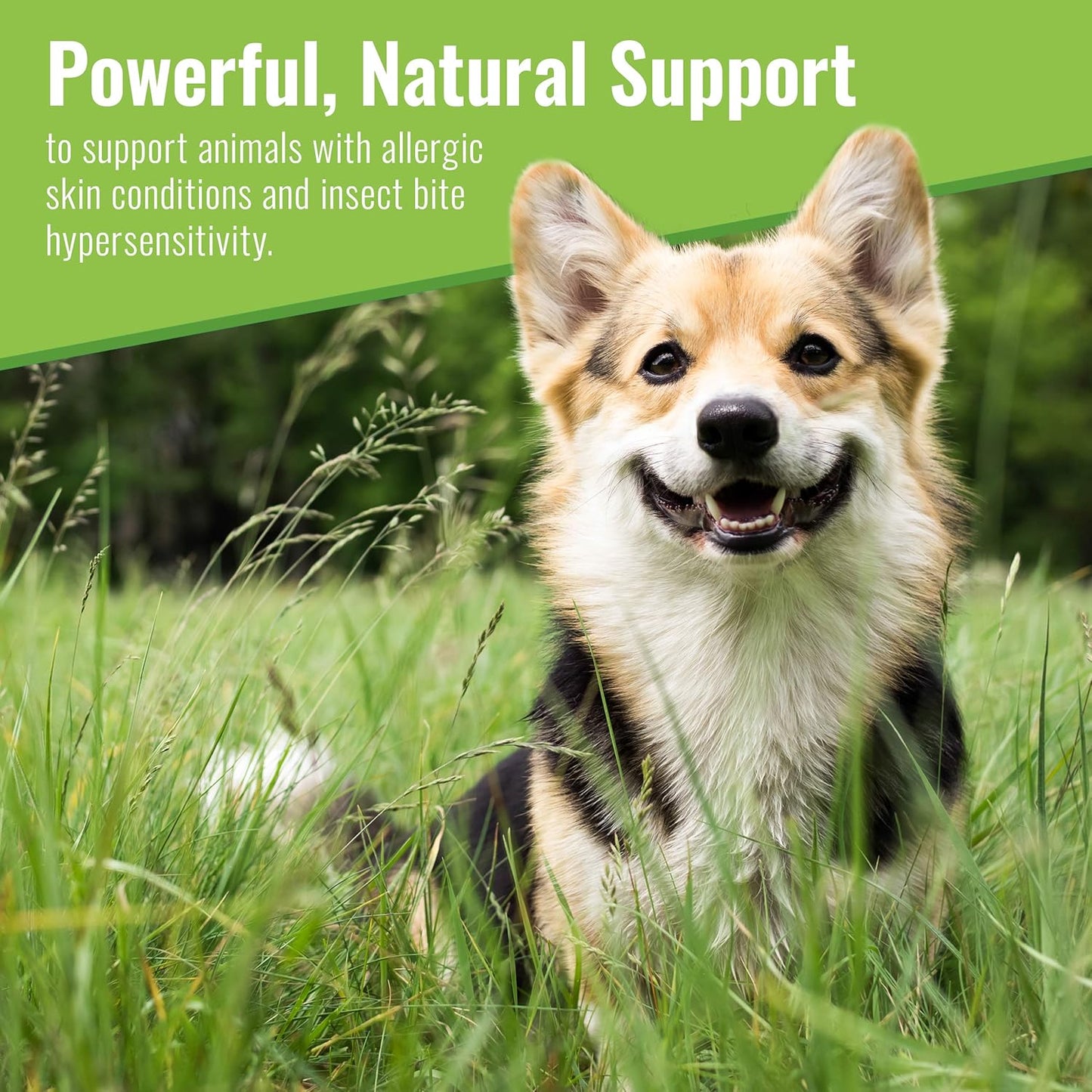 Organic Mushroom Powder Supplement for Dogs, 200g - Skin and Coat Support