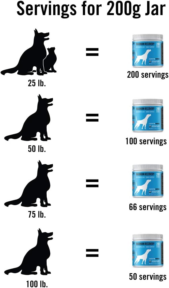 Organic Mushroom Powder Supplement for Dogs, 200g - Skin and Coat Support