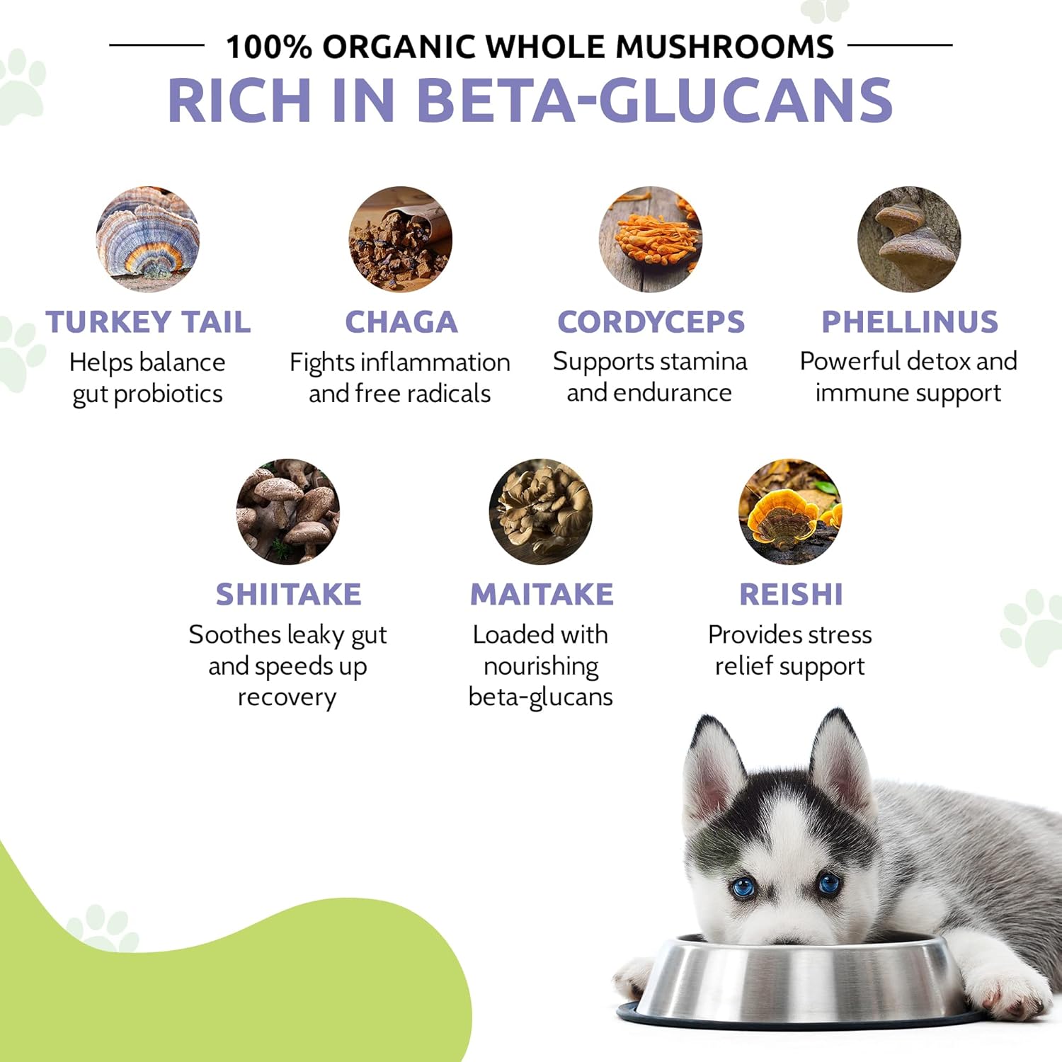 Organic Mushroom Supplement for Dogs - Veterinarian Formulated Whole Mushroom Extract - FOUR LEAF ROVER Seven Shrooms