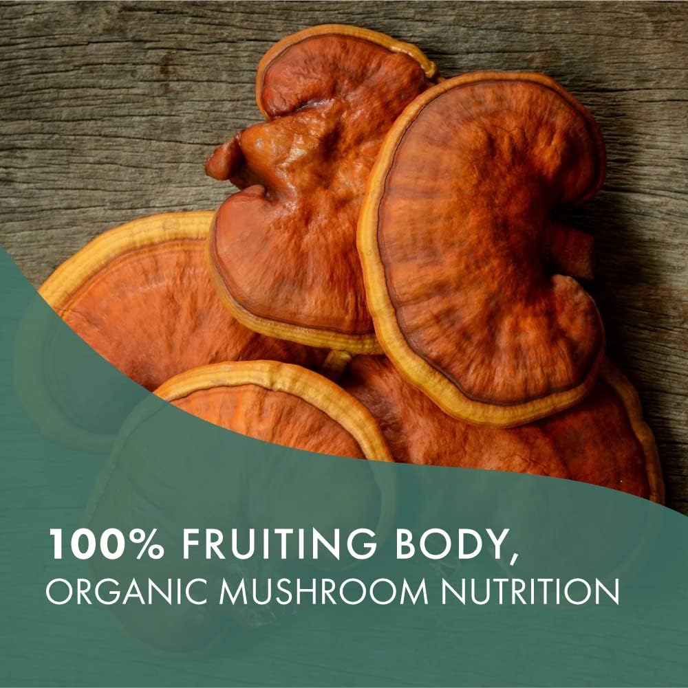 Organic Mushroom Supplement for Immune Support, Stress Relief, Energy - Pure Essence Labs MyPure Reishi 4X (30 Capsules)