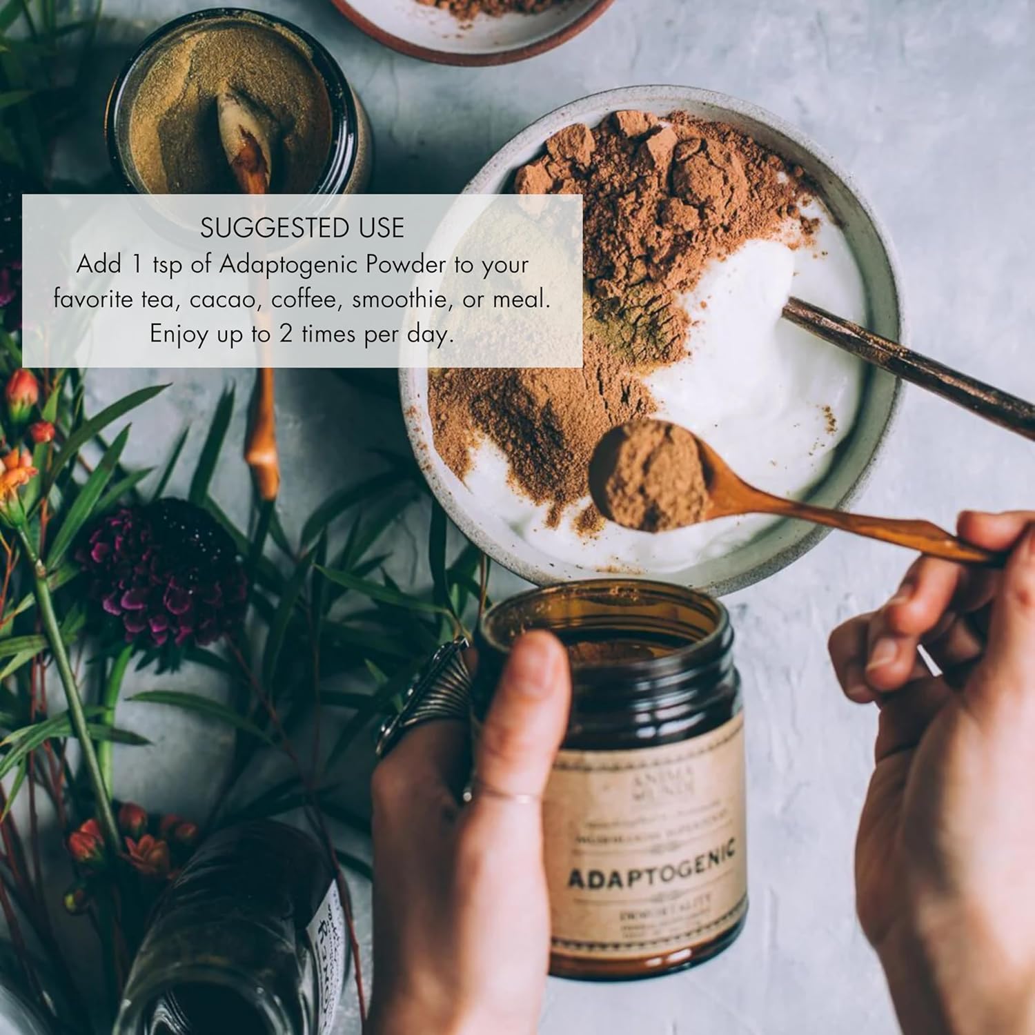 Organic Mushroom Supplement with Adaptogenic Mushrooms + Cacao - Uplifting Mushroom Powder with Lions Mane, Shiitake, Chaga - 4oz