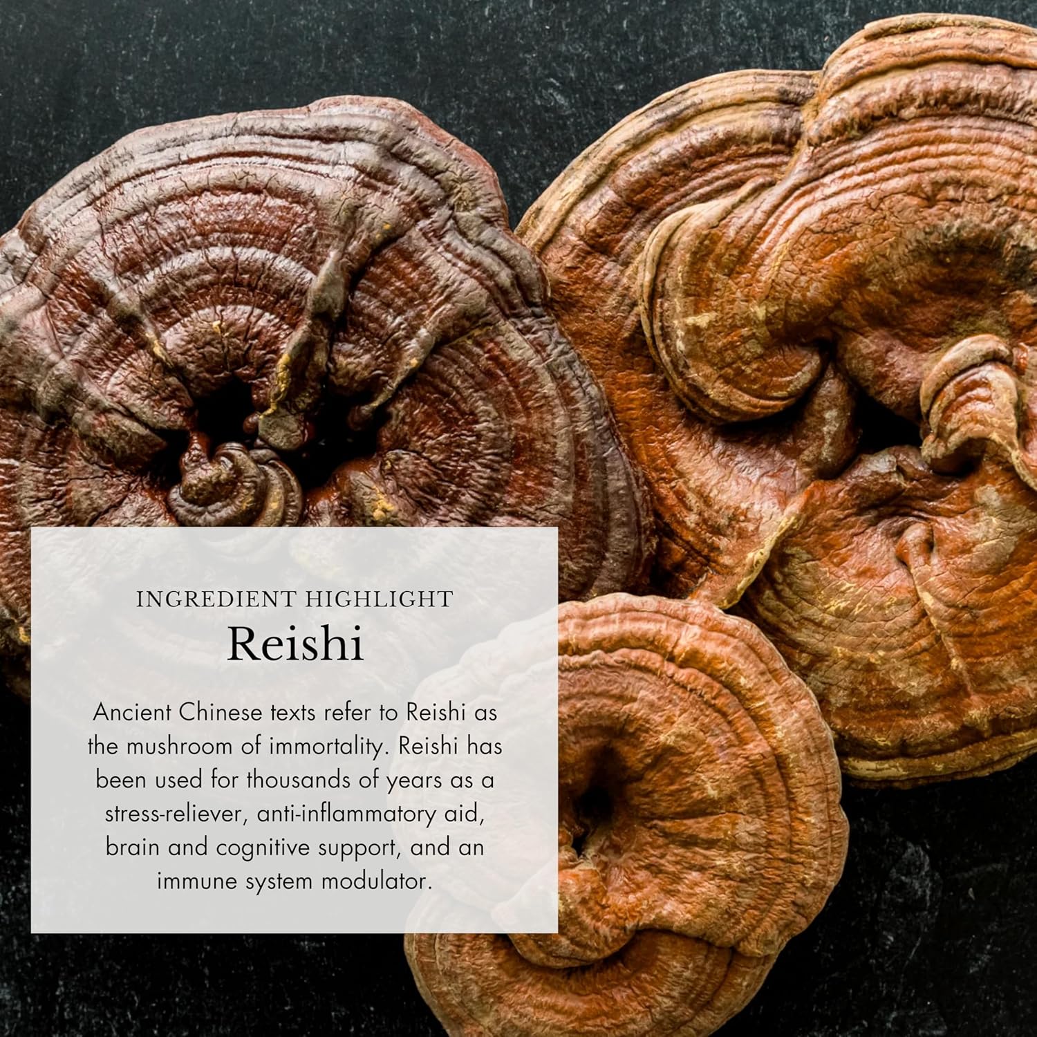 Organic Mushroom Supplement with Adaptogenic Mushrooms + Cacao - Uplifting Mushroom Powder with Lions Mane, Shiitake, Chaga - 4oz