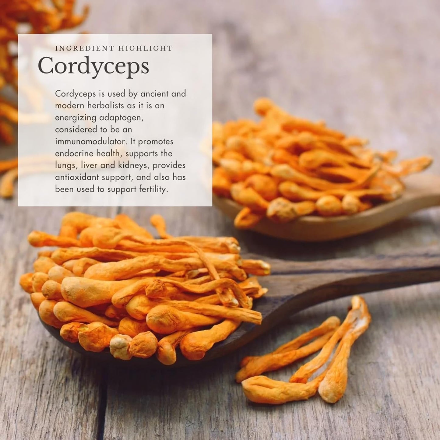 Organic Mushroom Supplement with Adaptogenic Mushrooms + Cacao - Uplifting Mushroom Powder with Lions Mane, Shiitake, Chaga - 4oz