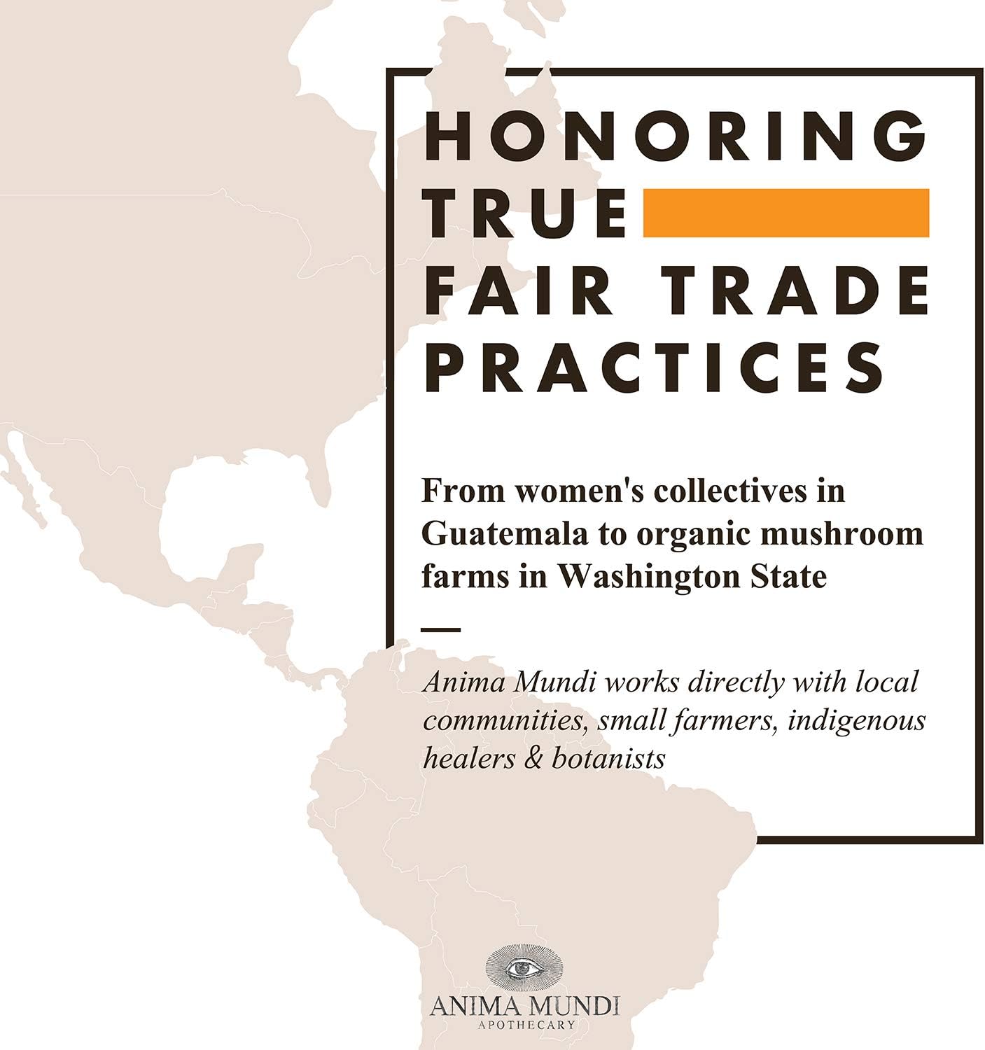 Organic Mushroom Supplement with Adaptogenic Mushrooms + Cacao - Uplifting Mushroom Powder with Lions Mane, Shiitake, Chaga - 4oz