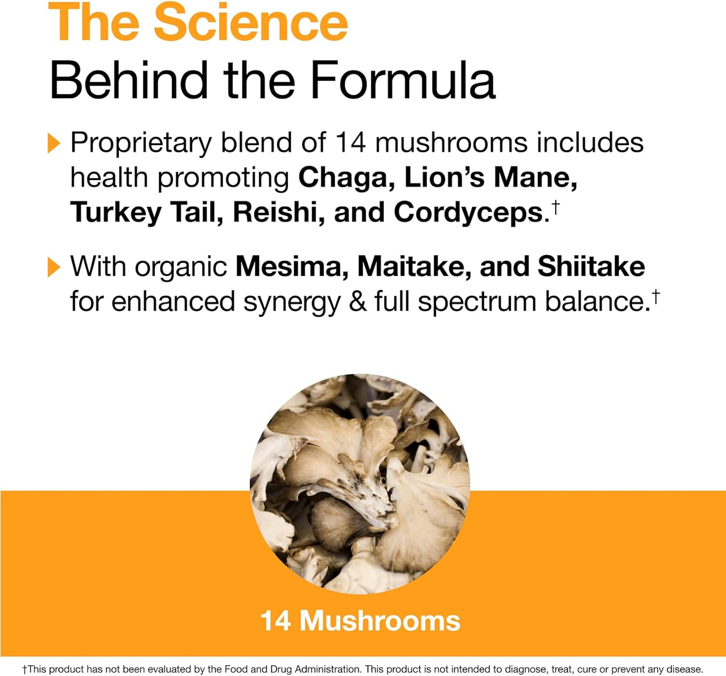 Organic Mushroom Wellness Blend Extract for Natural Health Boost - Reishi, Cordyceps, Lion's Mane, Turkey Tail, Chaga, Agarikon - 30 Servings - Made in USA