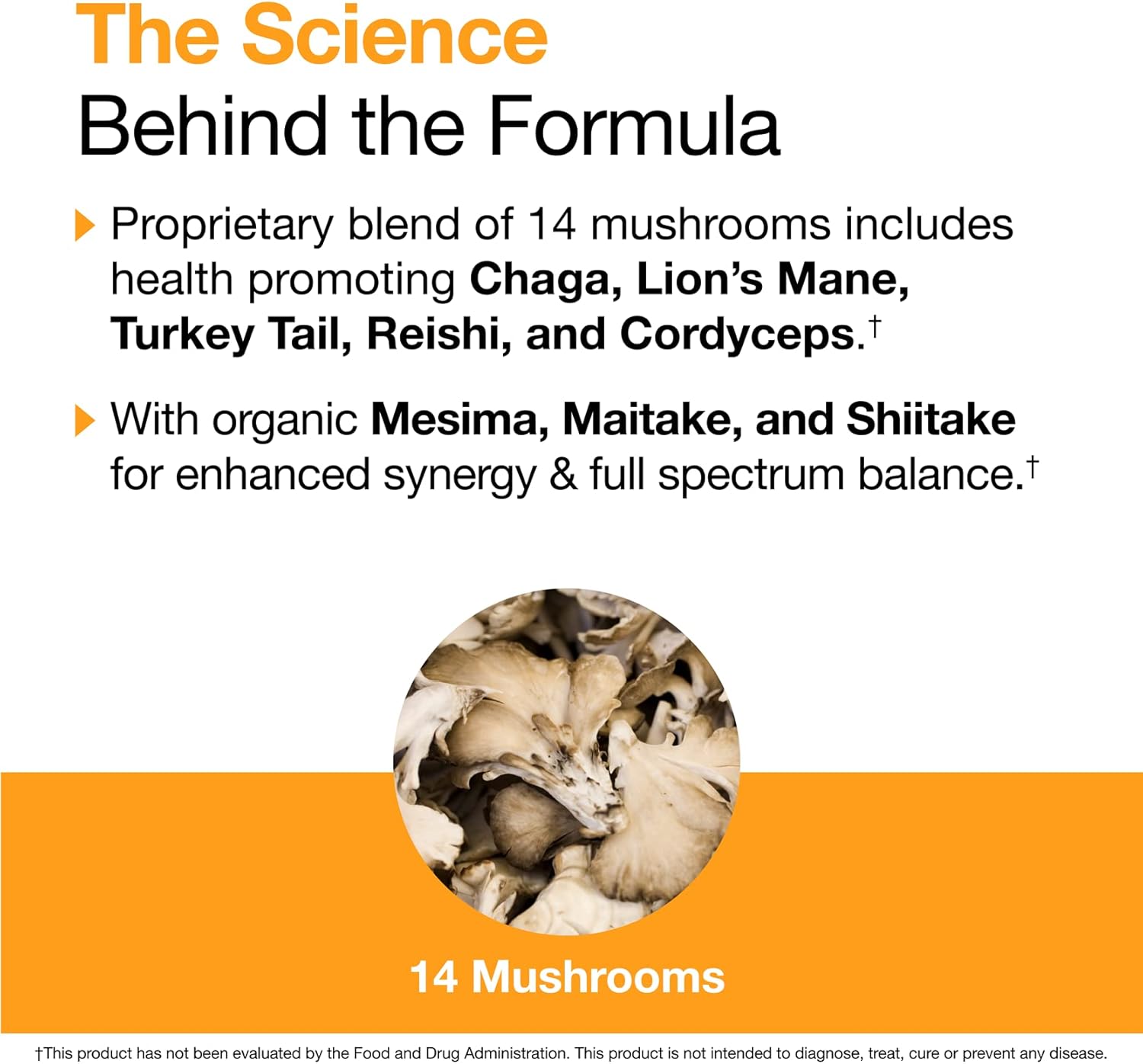 Organic Mushroom Wellness Blend Extract for Natural Health Boost - Reishi, Cordyceps, Lion's Mane, Turkey Tail, Chaga, Agarikon - 30 Servings - Made in USA