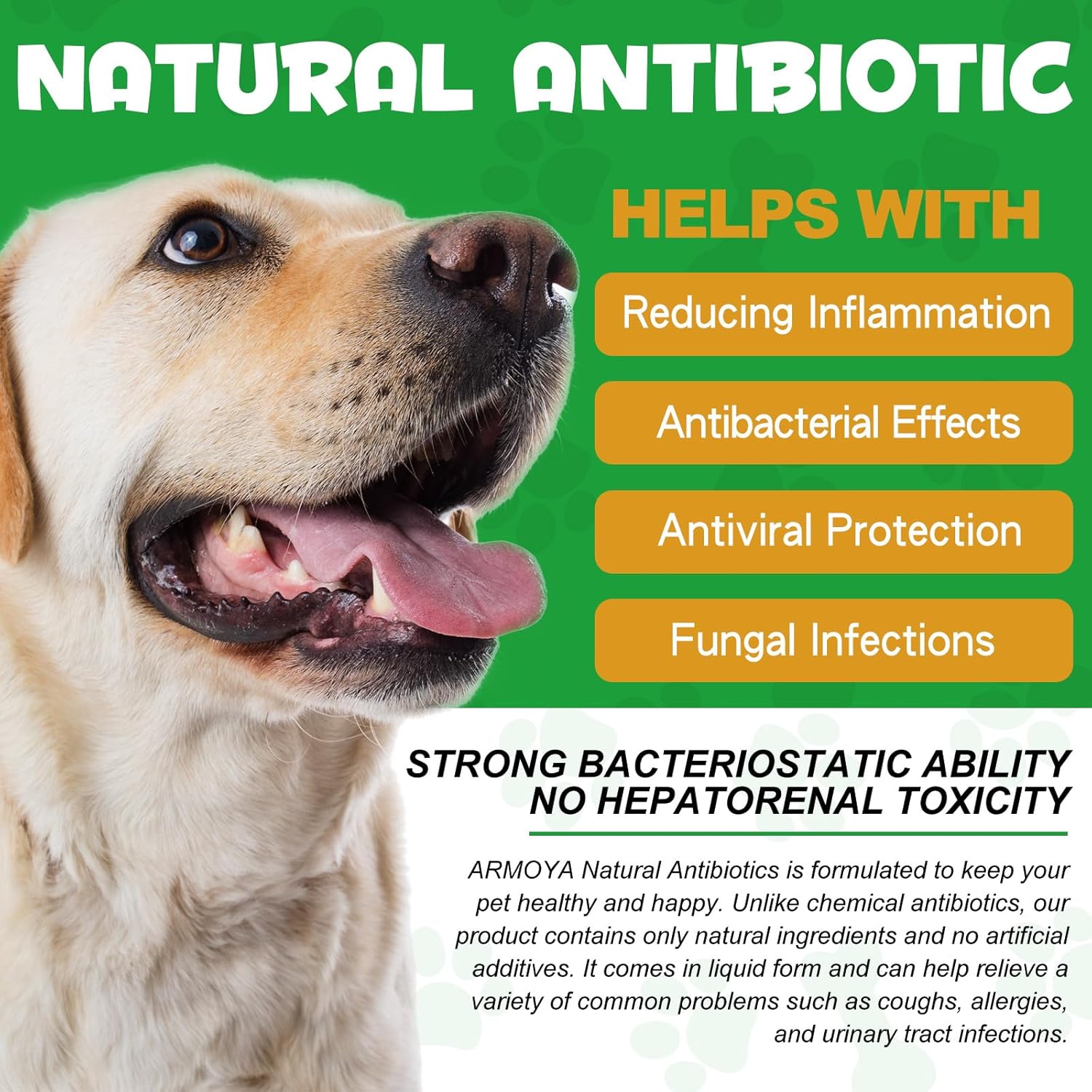 Organic Natural Antibiotics for Dogs with Multivitamin - 60ml Pet Antibiotics made with Organic Ingredients