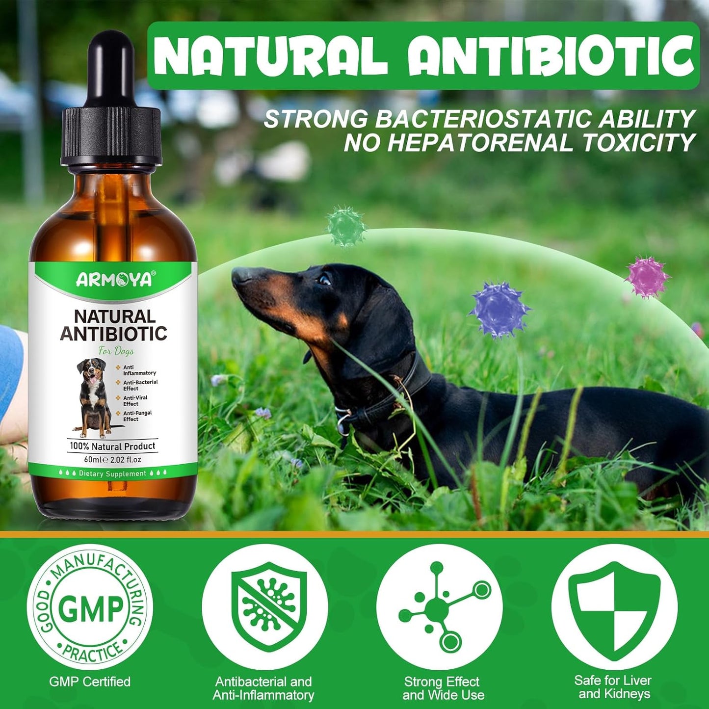 Organic Natural Antibiotics for Dogs with Multivitamin - 60ml Pet Antibiotics made with Organic Ingredients