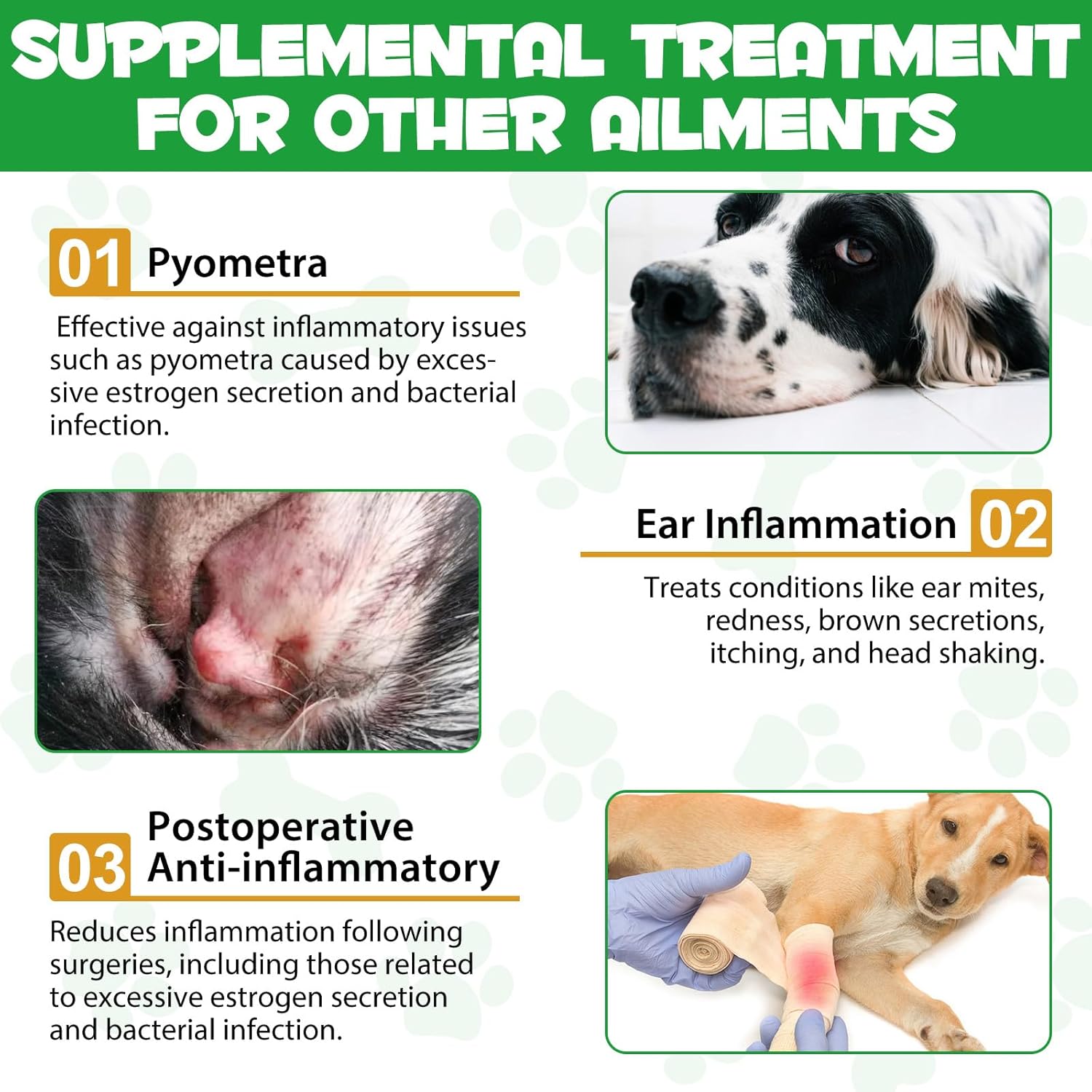 Organic Natural Antibiotics for Dogs with Multivitamin - 60ml Pet Antibiotics made with Organic Ingredients
