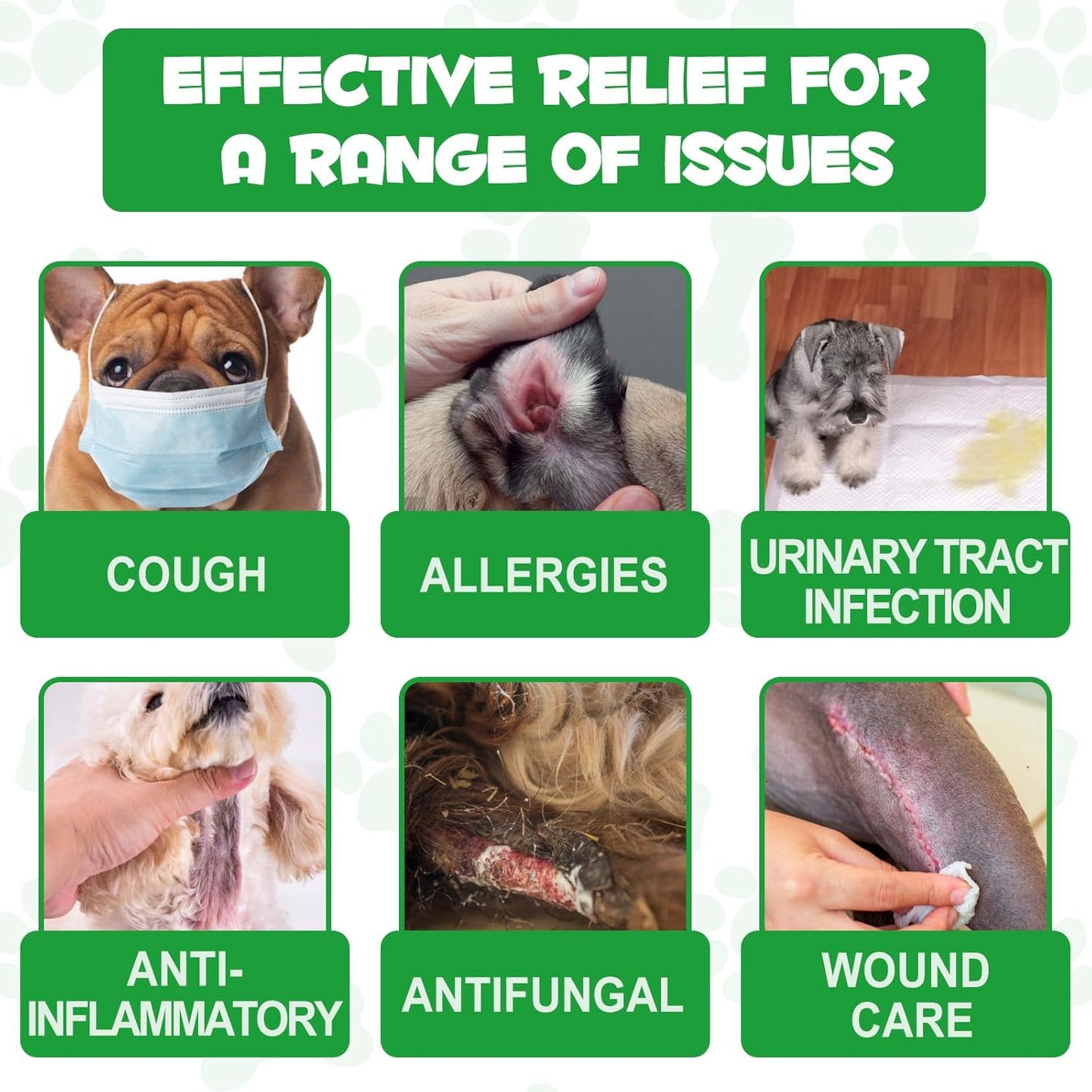 Organic Natural Antibiotics for Dogs with Multivitamin - 60ml Pet Antibiotics made with Organic Ingredients