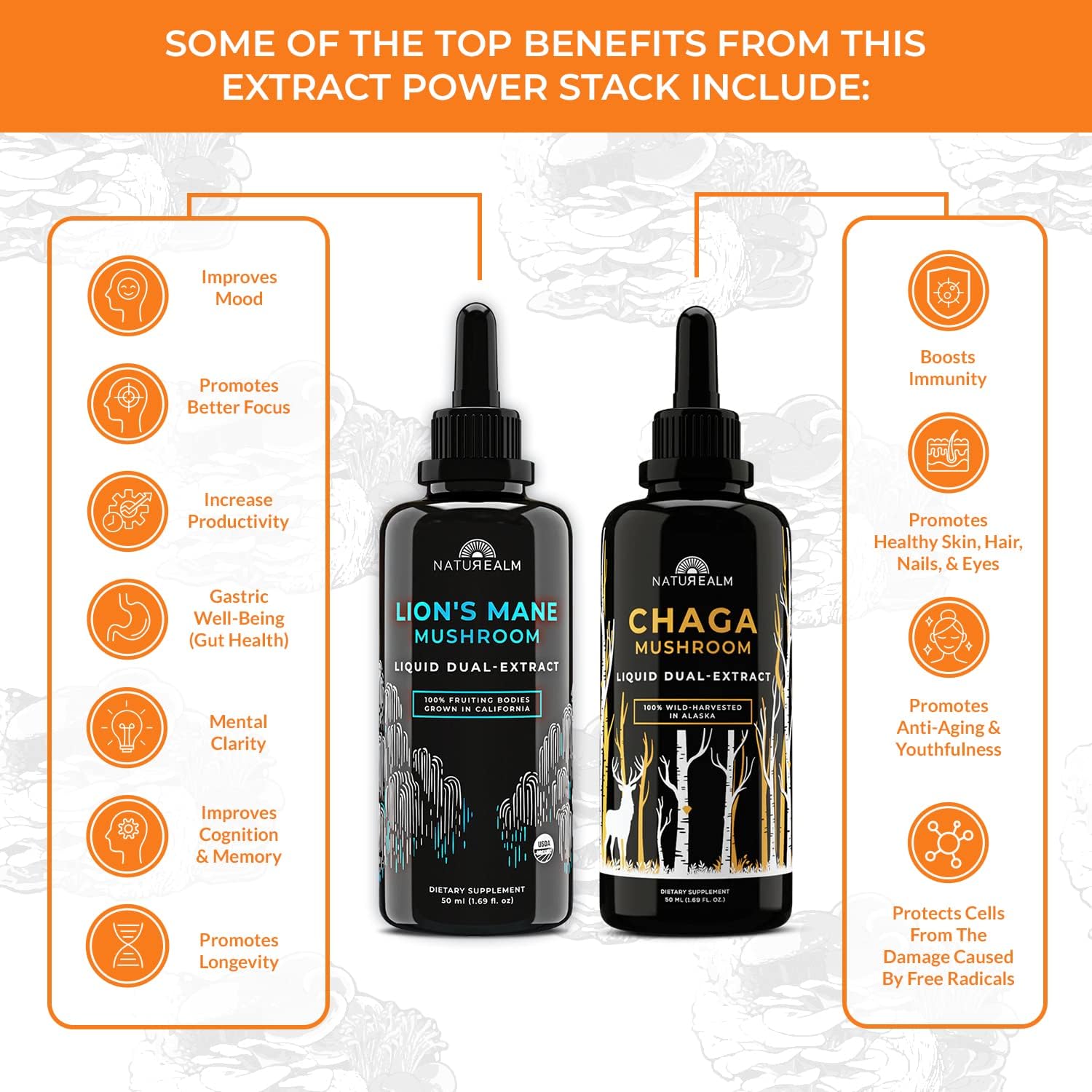 Organic Naturealm Lion's Mane & Chaga Mushroom Extract - Adaptogen Stack for Focus, Immunity, Longevity, Stress Relief, Energy - Liquid Drops - 2 Pack of 50 mL