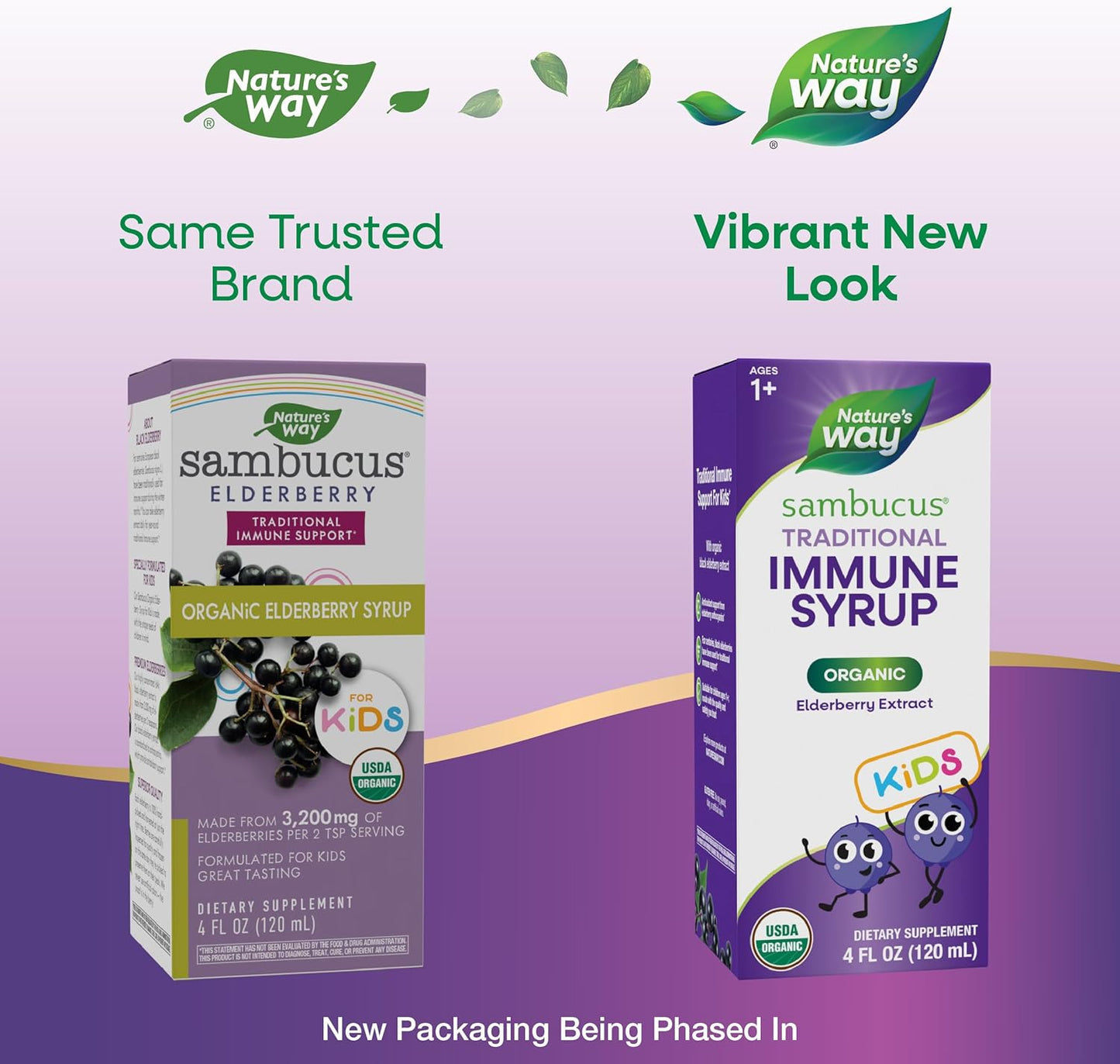 Organic Nature's Way Sambucus Elderberry Syrup for Immune Support, Antioxidant Boost, 4 Fl Oz, Ages 1+ - BoostGo Australia