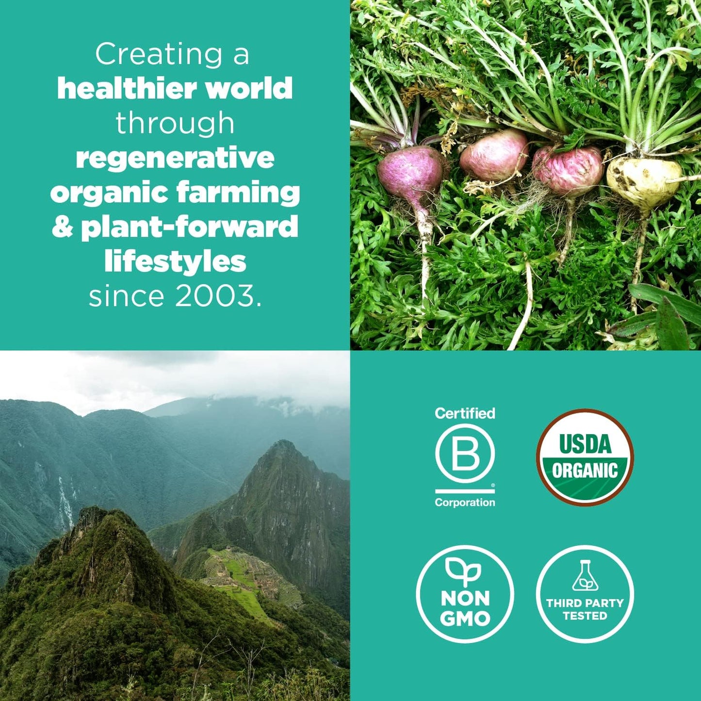 Organic Navitas Maca Gelatinized Powder - 16 oz Bag, 90 Servings - Non-GMO, Gluten-Free - 1 Pack