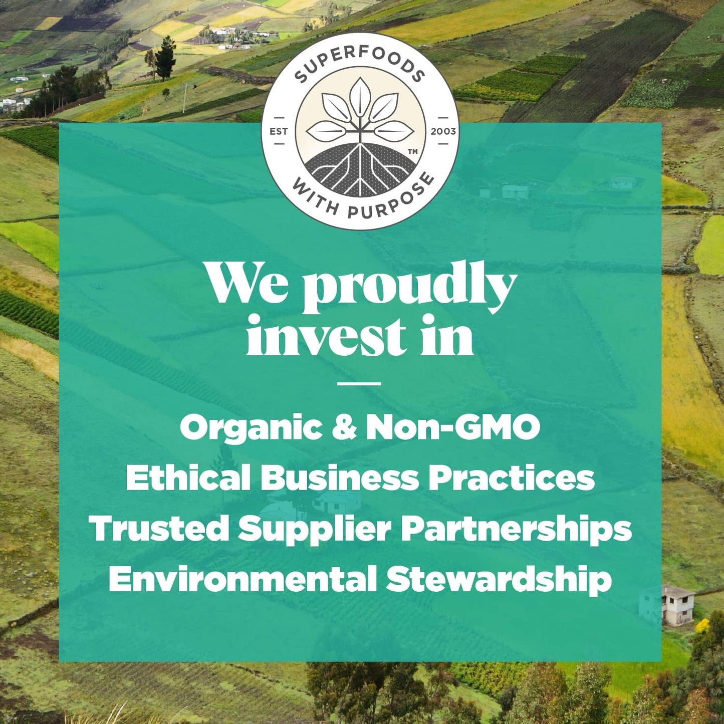 Organic Navitas Maca Gelatinized Powder - 16 oz Bag, 90 Servings - Non-GMO, Gluten-Free - 1 Pack