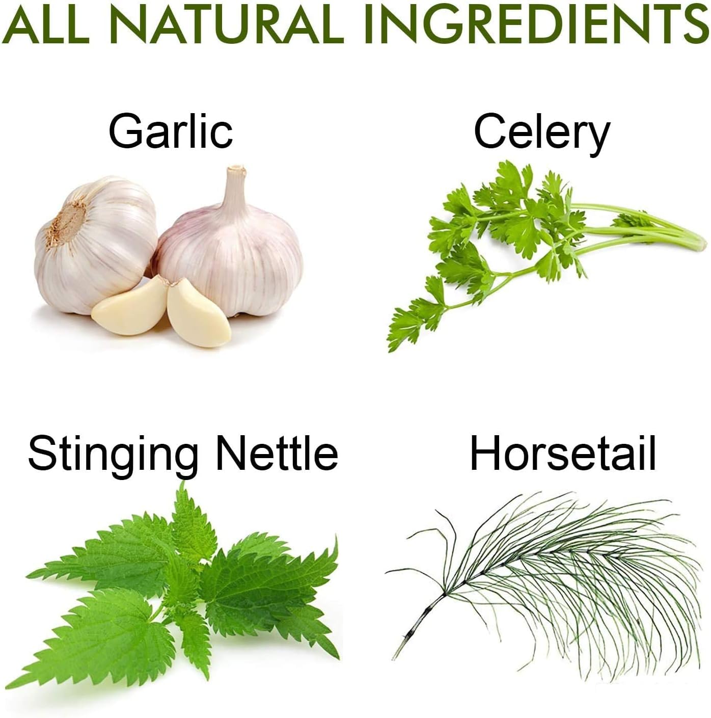 Organic Noni Fruit Extract Capsules - Reuma-Art X Strength - Herbal Supplement - 90 Veggie Capsules - Kosher & Gluten-Free