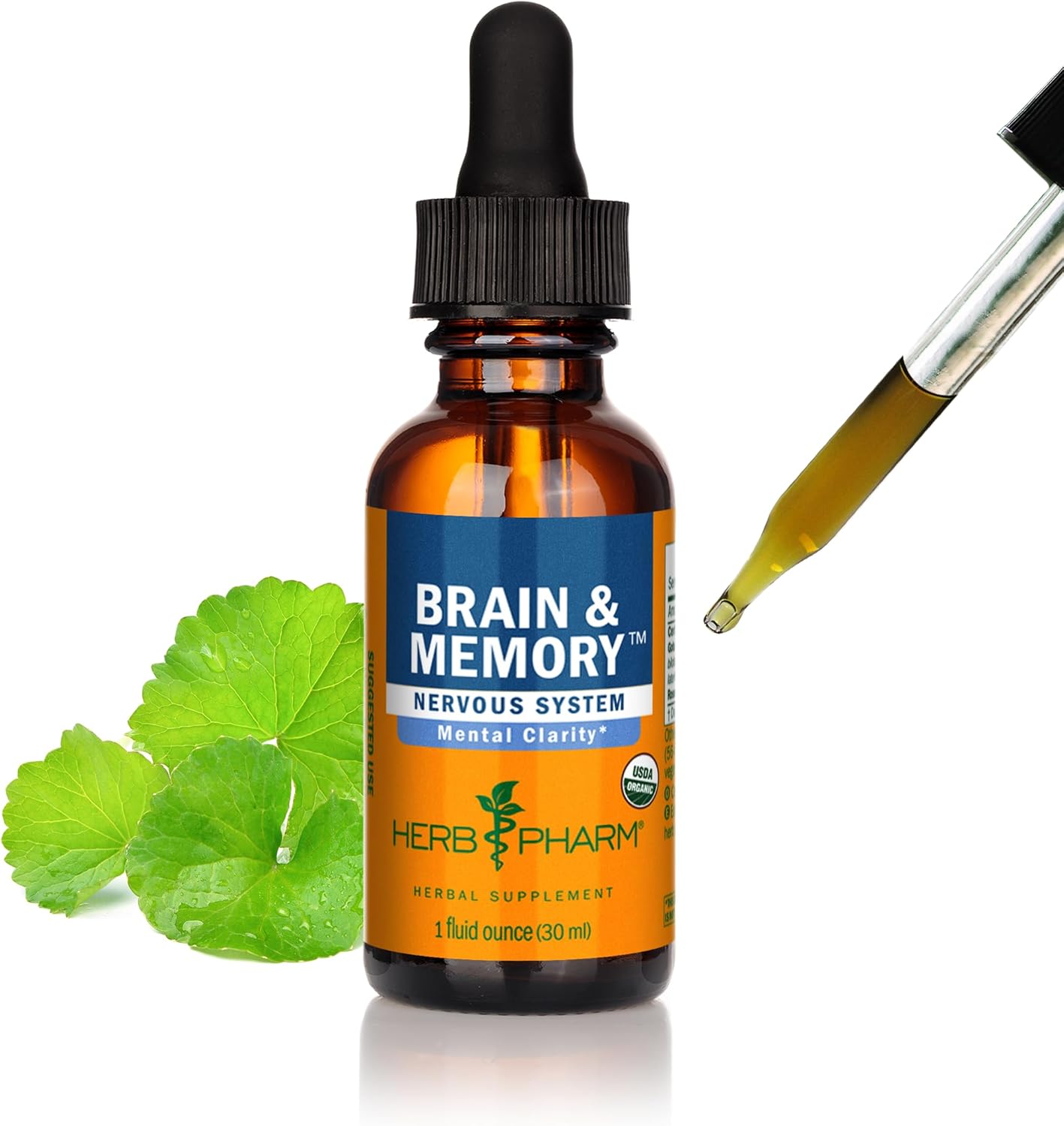 Organic Nootropic Brain & Memory Supplement with Ginkgo Biloba Liquid Extract - Fast Absorption for Mental Focus - Vegan, Gluten-Free, Non-GMO - 1 Oz