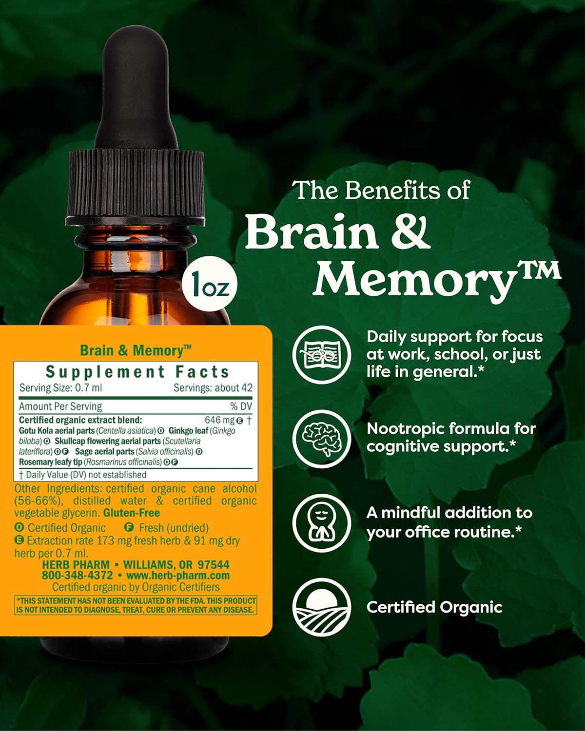 Organic Nootropic Brain & Memory Supplement with Ginkgo Biloba Liquid Extract - Fast Absorption for Mental Focus - Vegan, Gluten-Free, Non-GMO - 1 Oz