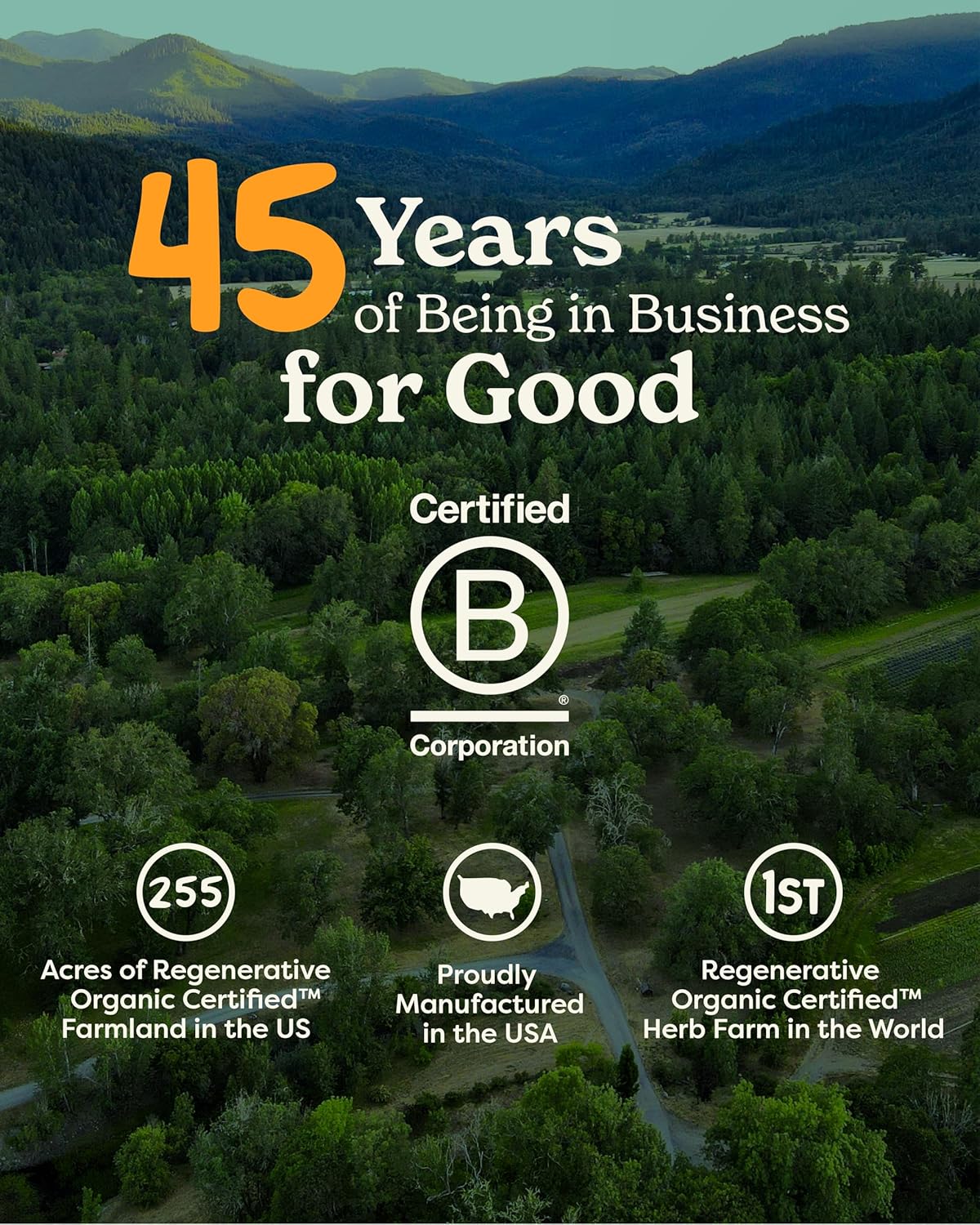 Organic Nootropic Brain & Memory Supplement with Ginkgo Biloba Liquid Extract - Fast Absorption for Mental Focus - Vegan, Gluten-Free, Non-GMO - 1 Oz