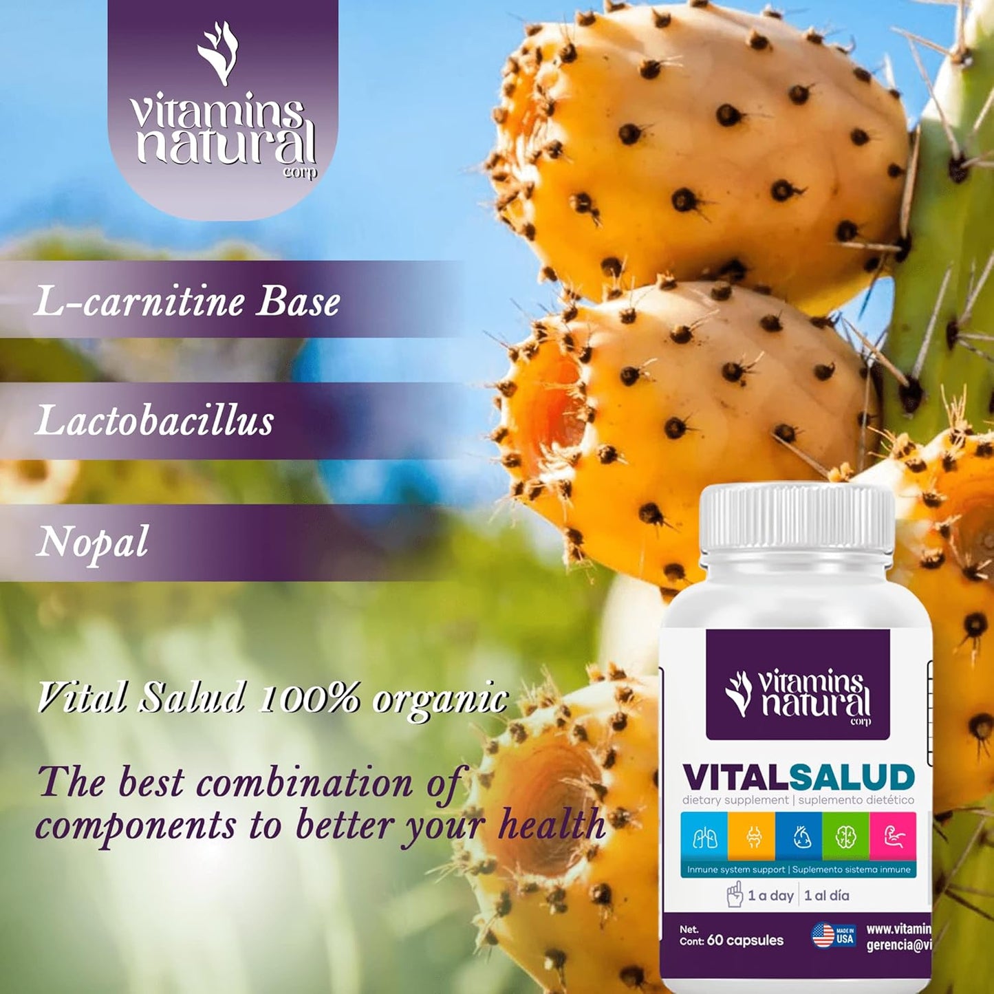 Organic Nopal and L-Carnitine Blend to Support Immune Health and Ease Varicose Veins by Vitamins Natural Corp