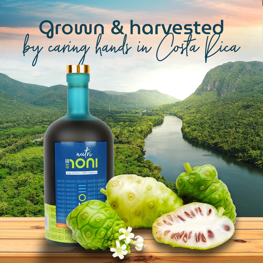 Organic Nutri Noni Juice from Costa Rica - 100% Pure Original Flavor, No Added Fruit - 33.8 fl oz - Superfood