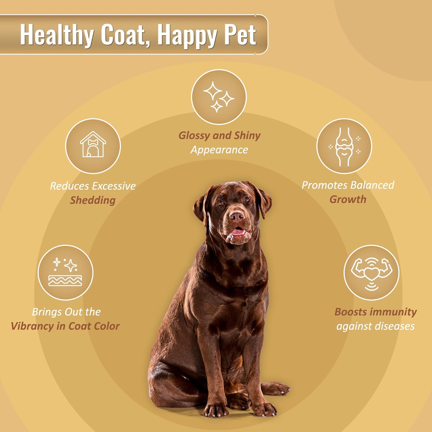 Organic Ocean Kelp 16 oz Canister for Pet Nutrition by Life Line