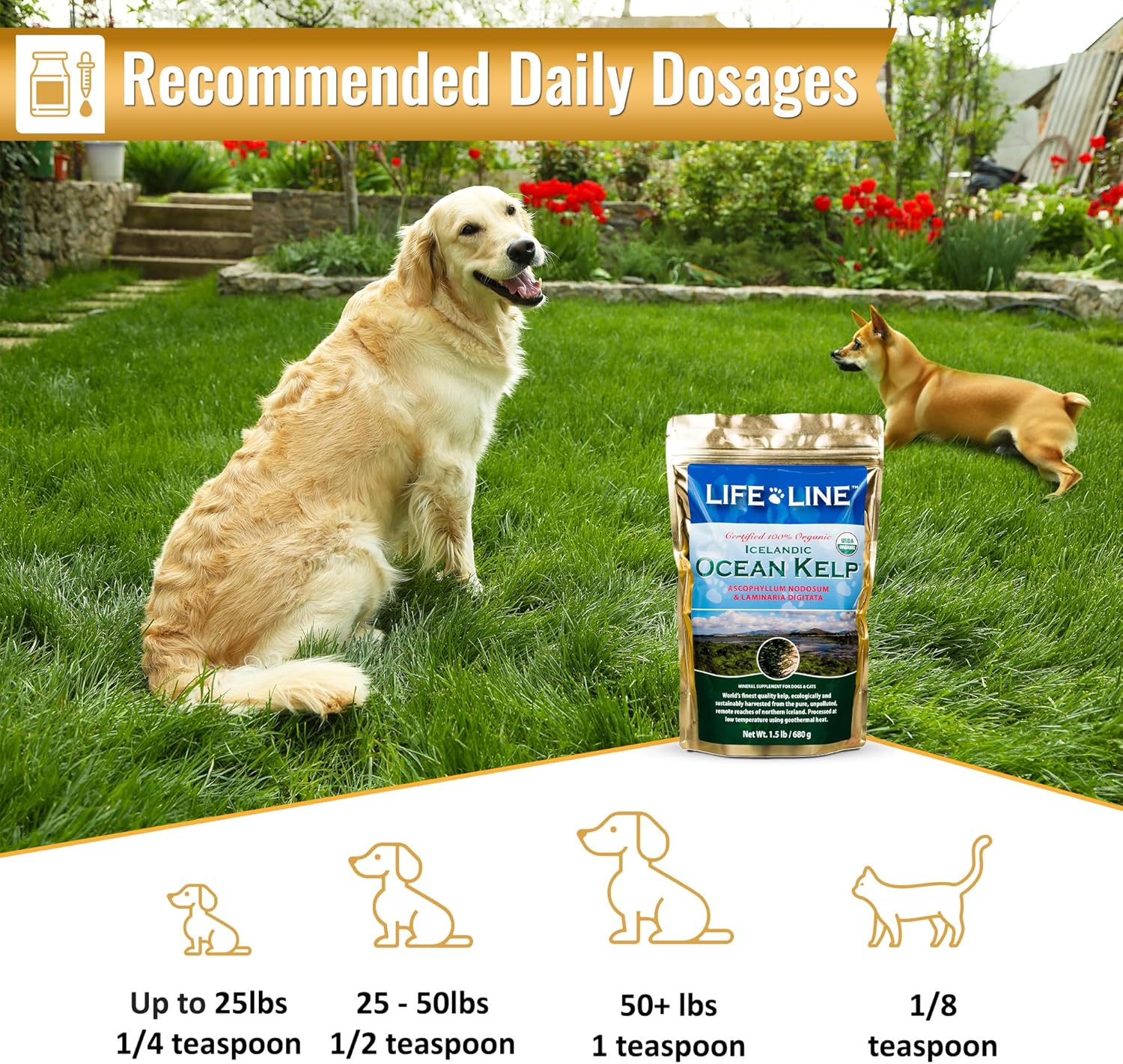 Organic Ocean Kelp for Pet Nutrition - 1.5 LB by Life Line
