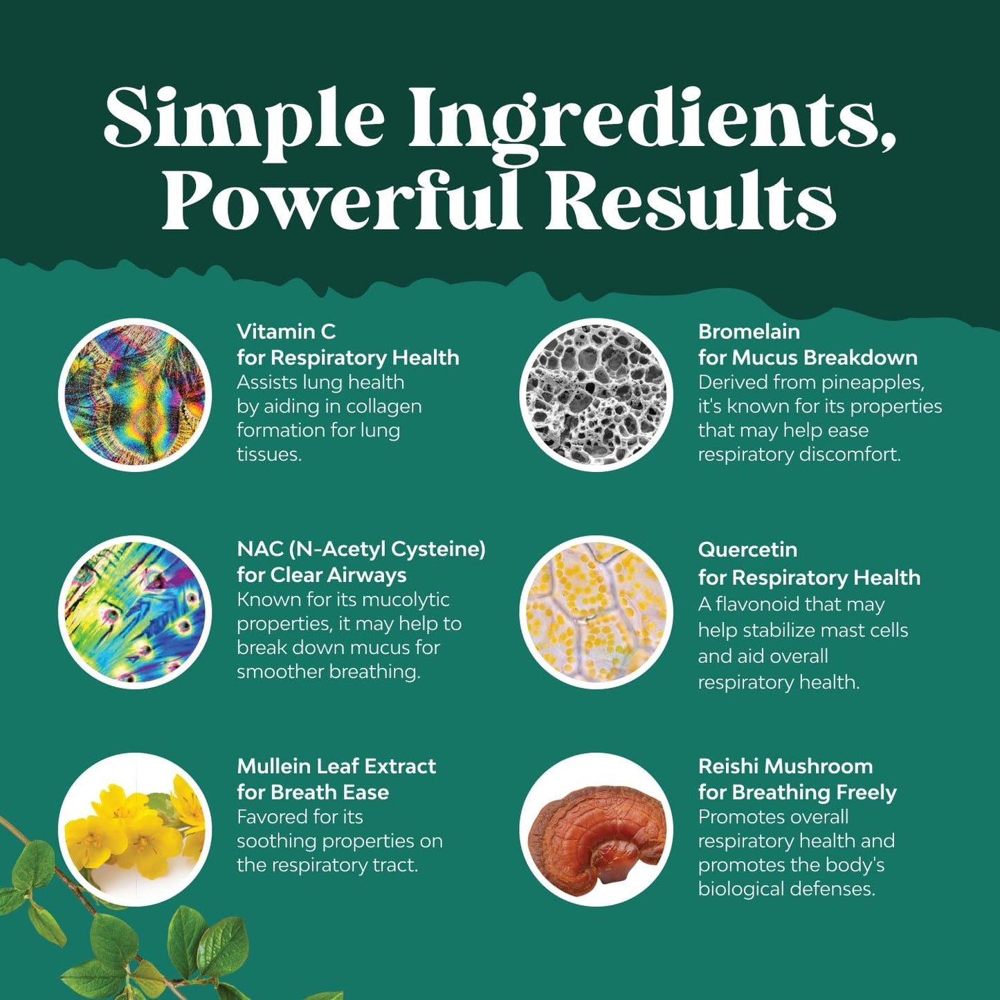 Organic Oregano Oil Drops with 60% Carvacrol for Heart Health & Digestion - Immunity Boosting Herbal Tincture - Vegan & Non-GMO - 30 ml Bottle