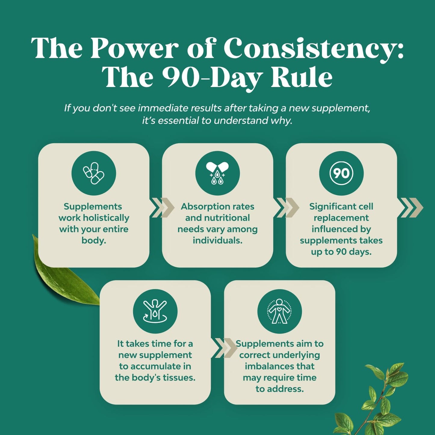 Organic Oregano Oil Drops with 60% Carvacrol for Heart Health & Digestion - Immunity Boosting Herbal Tincture - Vegan & Non-GMO - 30 ml Bottle