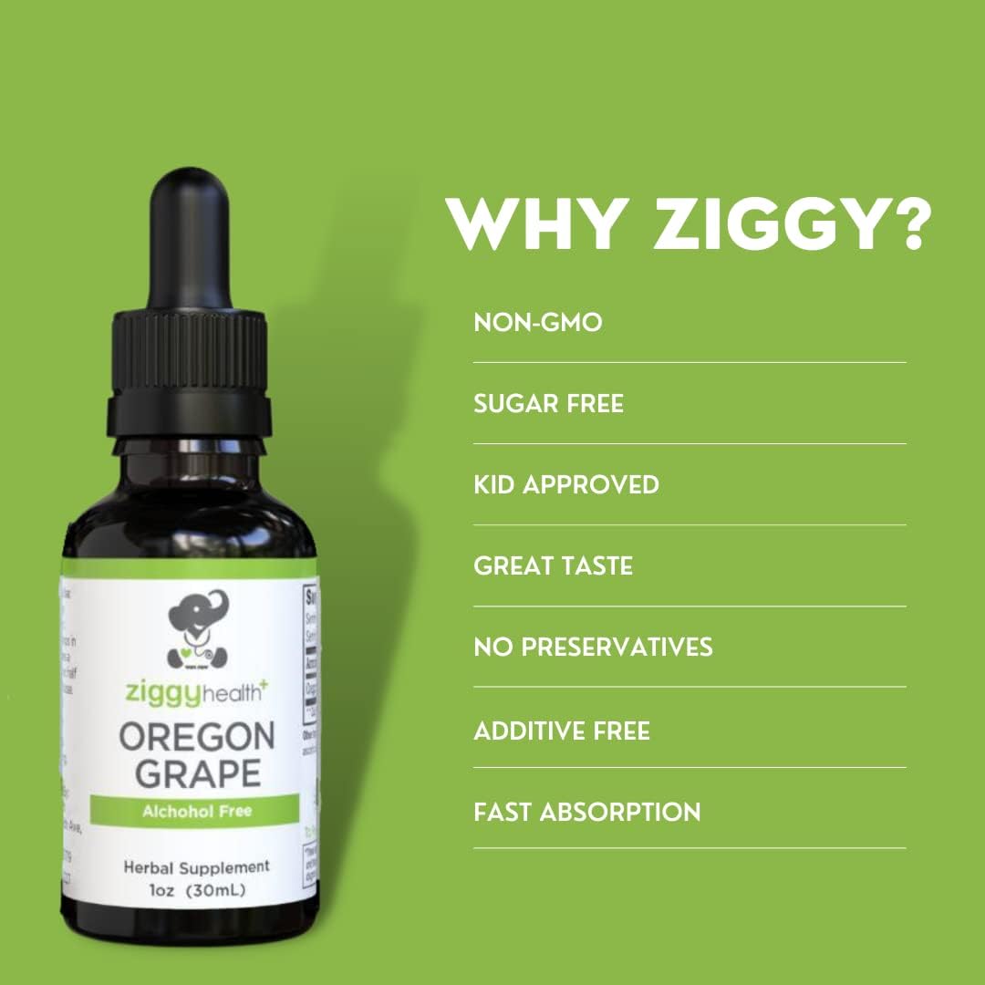 Organic Oregon Grape Root Tincture - Alcohol-Free Extract for Herbal Support - 1oz by Ziggy Baby Health