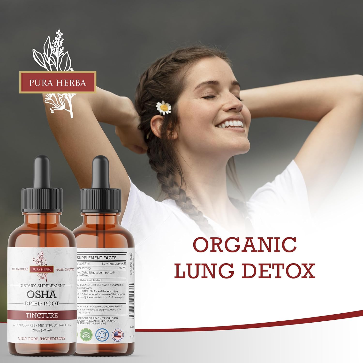 Organic OSHA Root Tincture for Respiratory Support - Alcohol-Free Liquid Extract - Vegan & Non-GMO - Made in USA - 2 Fl Oz