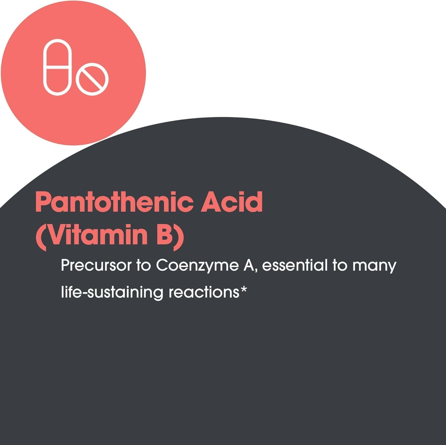 Organic Pantothenic Acid Supplement 500mg - Vitamin B5 for Men & Women - Vegetarian Capsules with Calcium - 90 Count