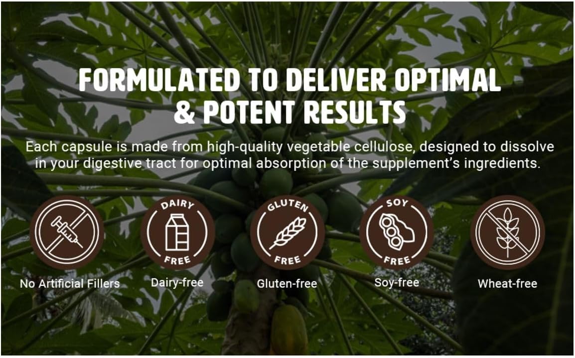 Organic Papaya Leaf Extract Capsules - 180 Pills, 1000mg, Supports Platelet Immunity & Digestion, 90 Servings