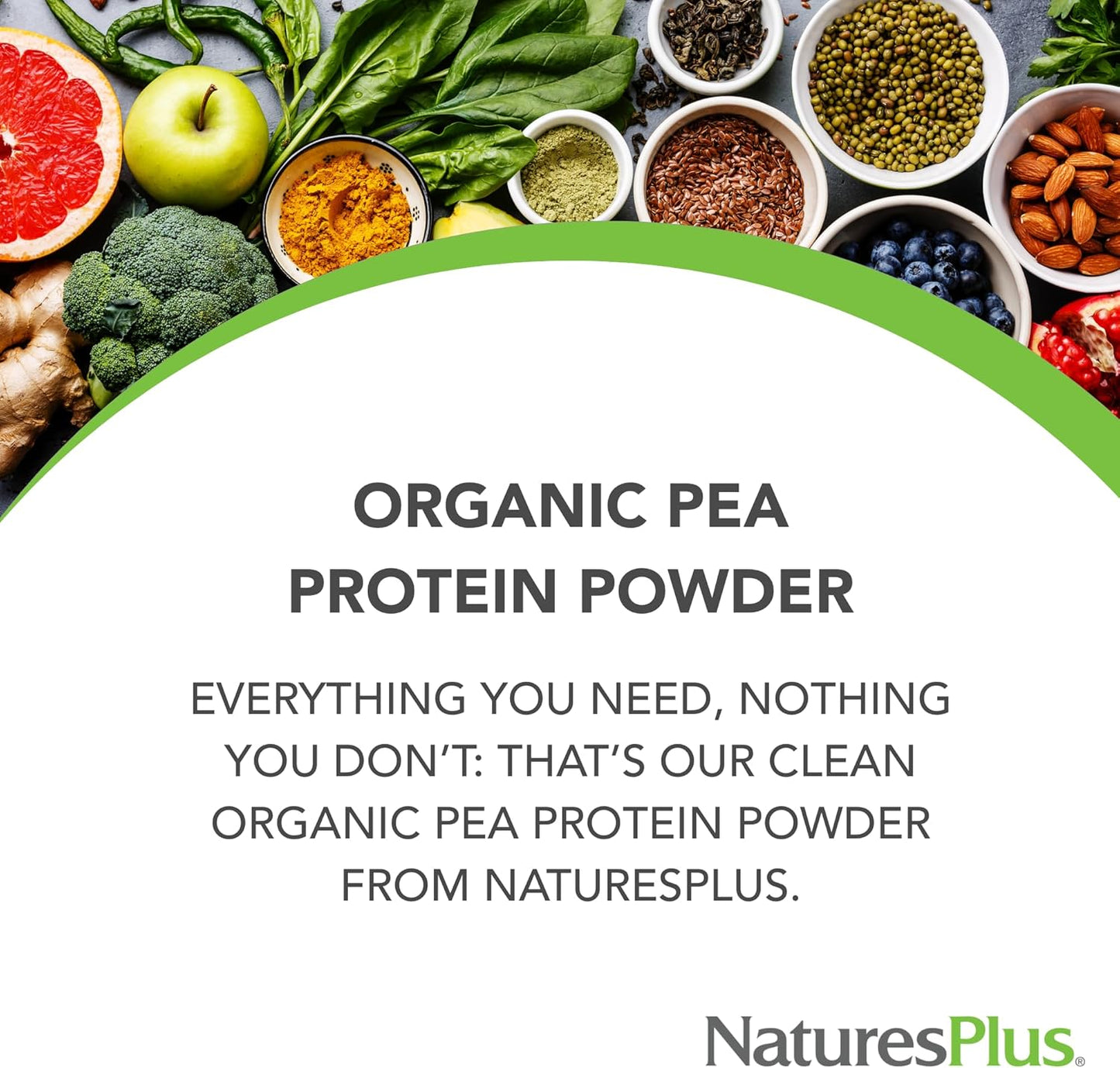 Organic Pea Protein Powder - 1.1 lbs, Vegan Drink Mix - High Energy, Hunger Suppressant, Muscle Builder - Heart Health Support - Non-GMO, Vegetarian, Gluten-Free - 25 Servings