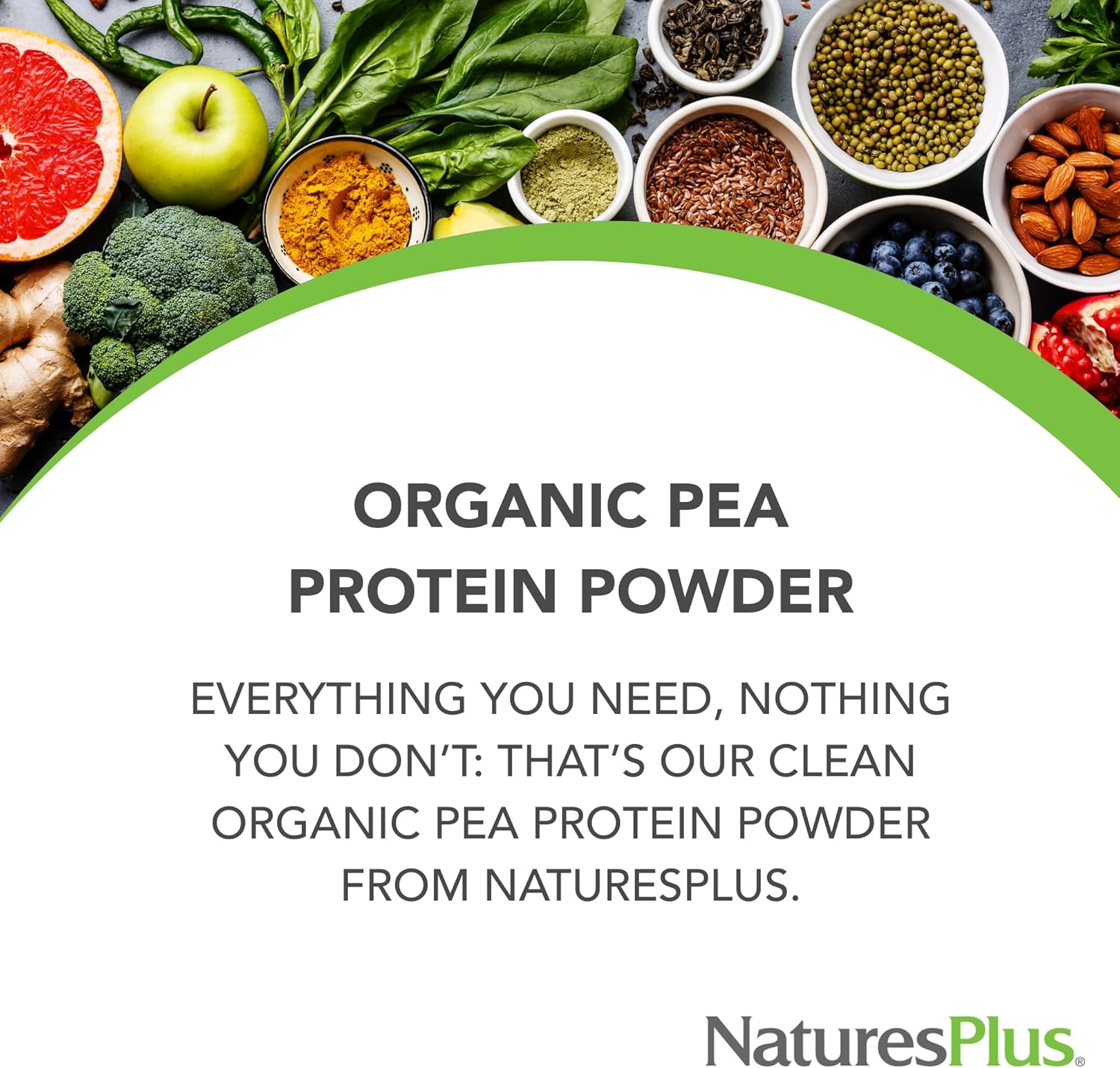 Organic Pea Protein Powder - 1.1 lbs, Vegan Drink Mix - High Energy, Hunger Suppressant, Muscle Builder - Heart Health Support - Non-GMO, Vegetarian, Gluten-Free - 25 Servings