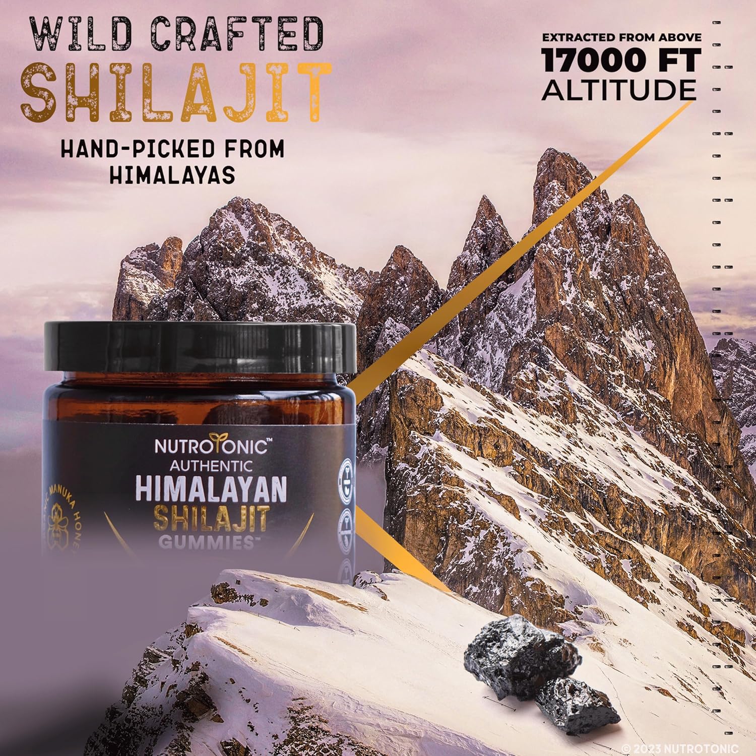 Organic Peach & Vanilla Flavored Himalayan SHILAJIT Gummies with Manuka Honey MGO +263 | Boost Heart, Brain, Cellular Health | 30 Quality Gummies by NutroTonic LLC