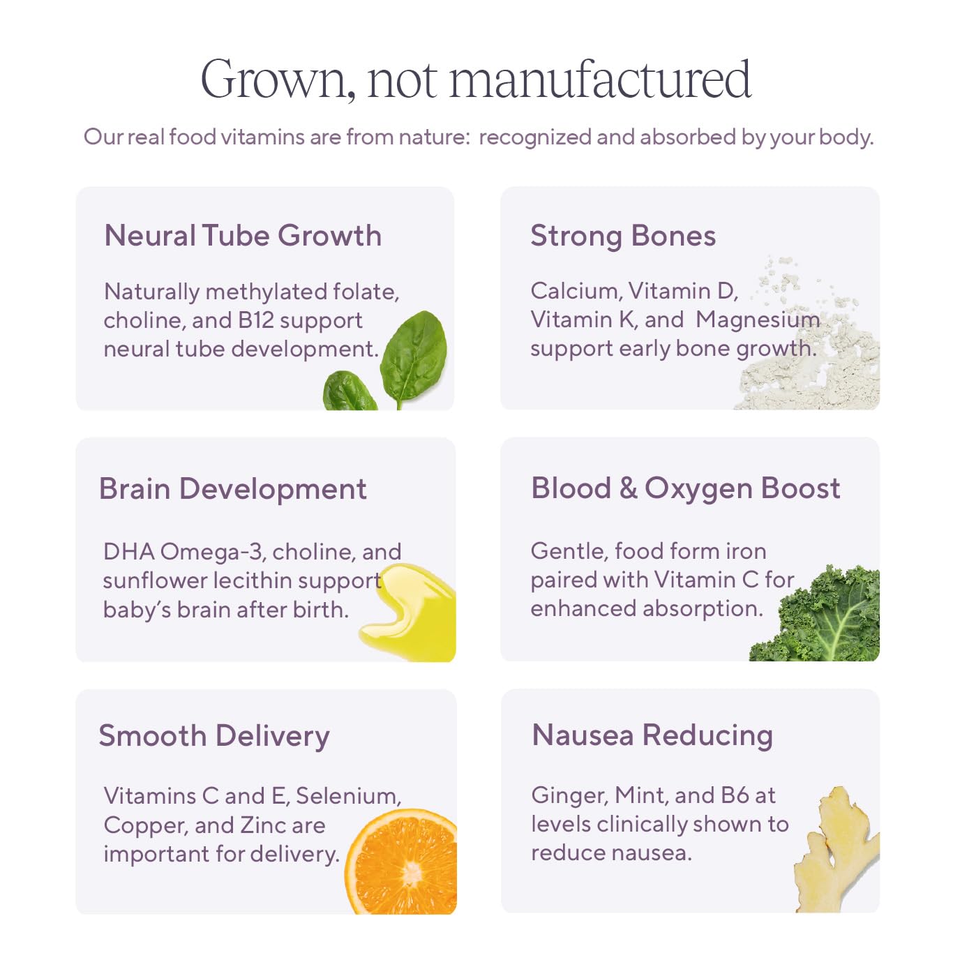 Organic Peanut Butter Chocolate Prenatal Vitamin Bar with DHA, Folate, Vitamin D for Pregnant & Postpartum Mothers (4ct)