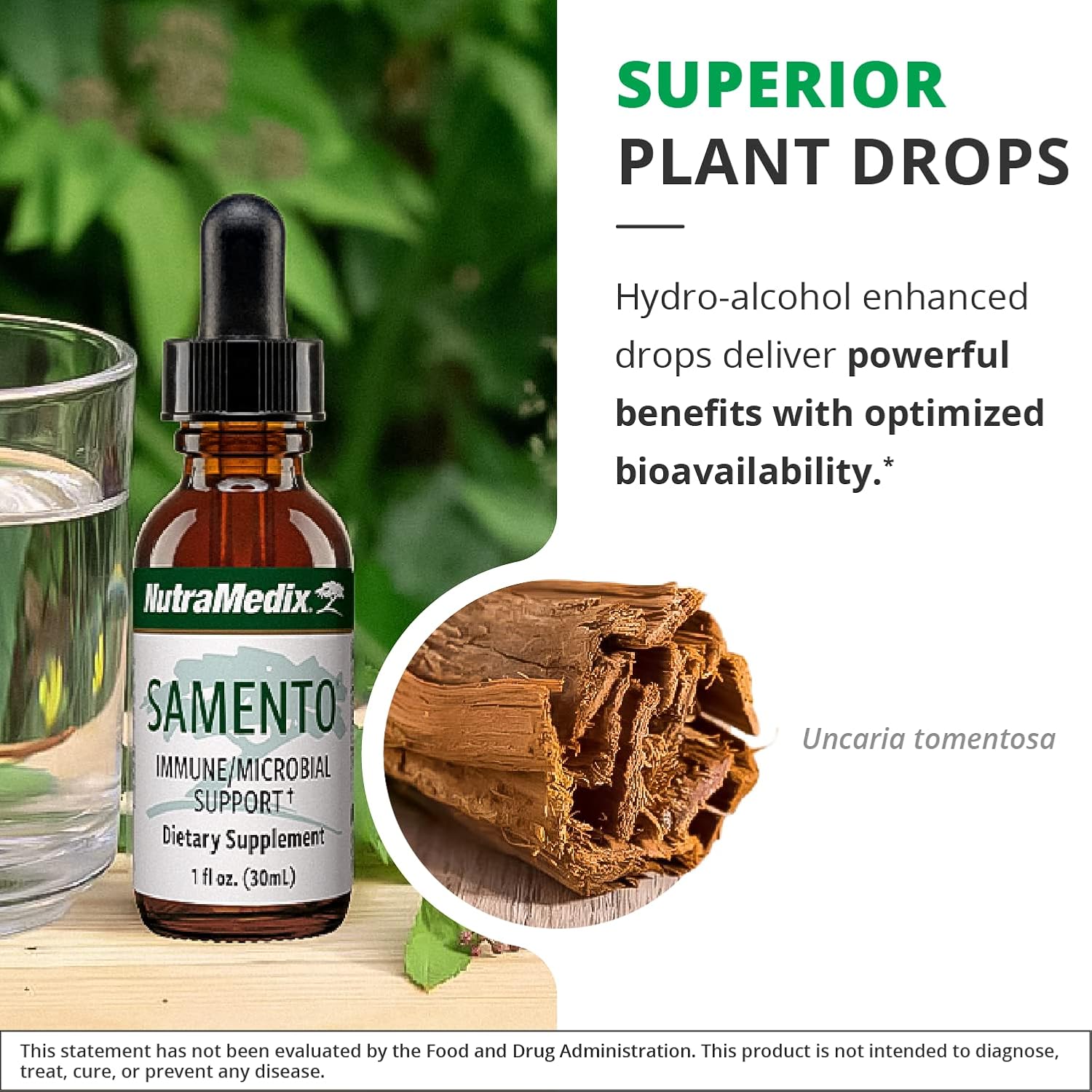 Organic Peruvian Cat's Claw Tincture - Immune Boost with Brain & Cardiovascular Support - 1oz Herbal Extract for Overall Wellness