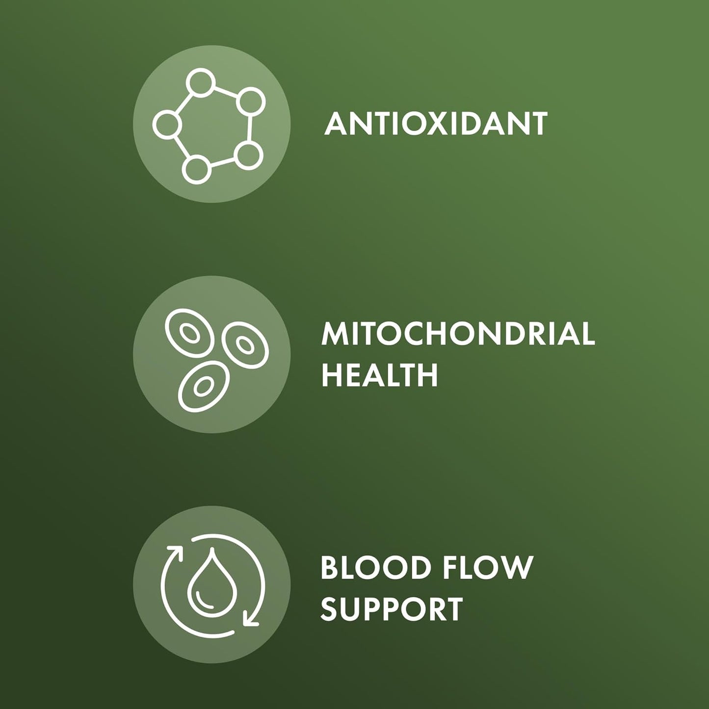 Organic Pine Bark Extract with OPCs, 30 Servings (60 Tablets) - Antioxidant Dietary Supplement, Non-GMO, USDA Certified Organic