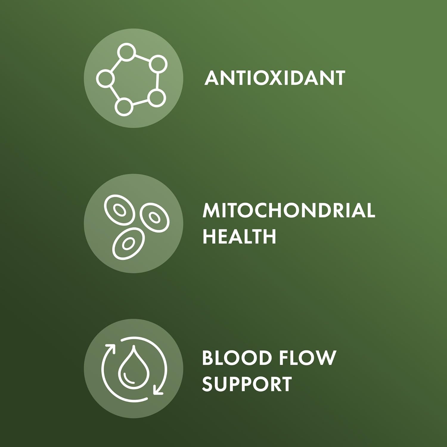 Organic Pine Bark Extract with OPCs, 30 Servings (60 Tablets) - Antioxidant Dietary Supplement, Non-GMO, USDA Certified Organic