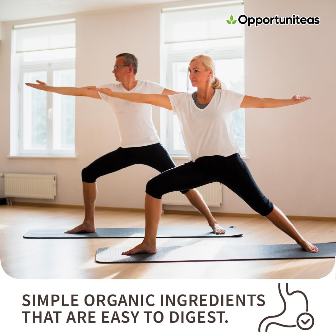 Organic Plant Based Protein Powder, 20g Vegan Protein Blend, Creamy Chocolate Flavor, No Added Sugar, 1 Lb - BoostGo Australia