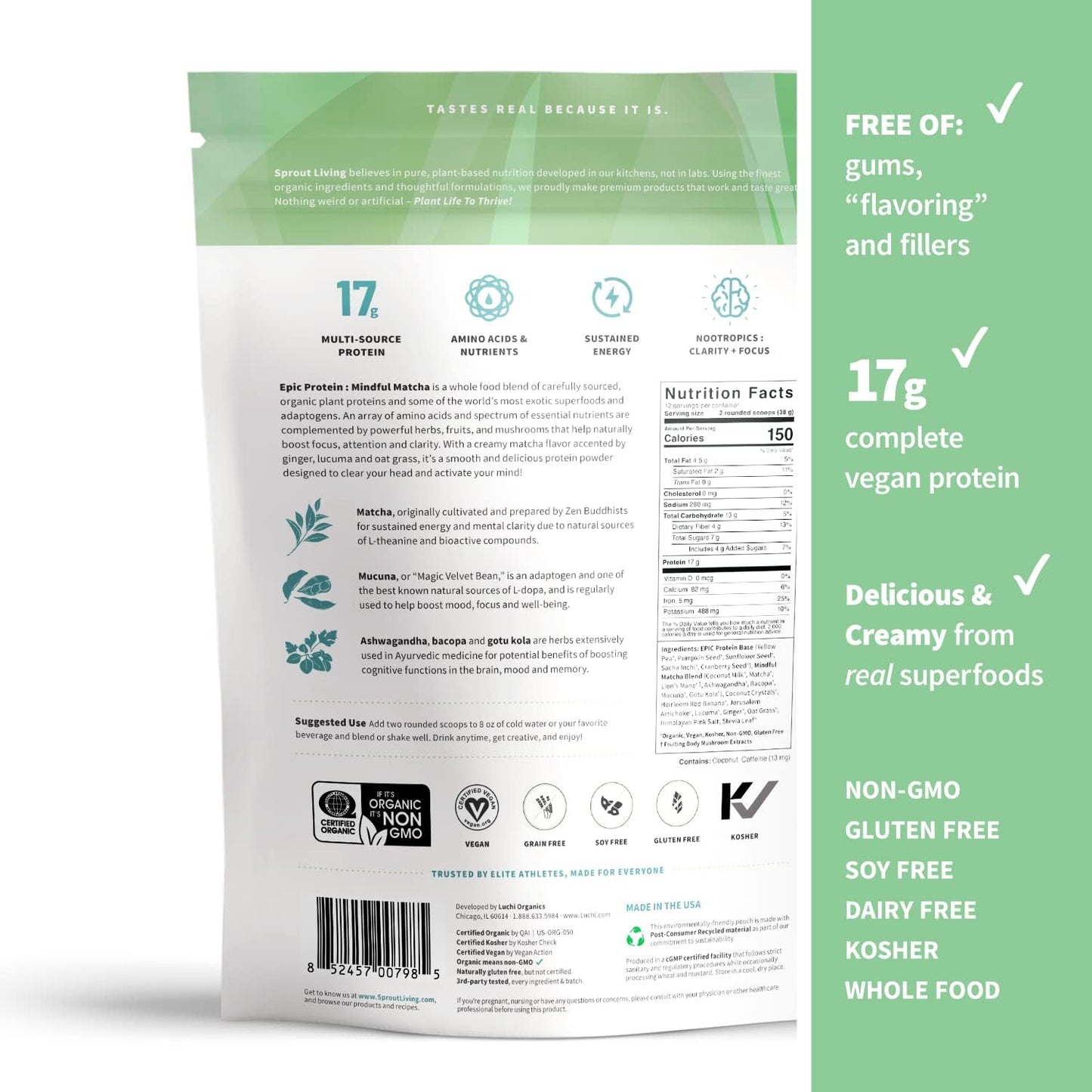 Organic Plant Based Protein Powder with Mindful Matcha - Vegan, Non-GMO, Gluten Free (1lb)