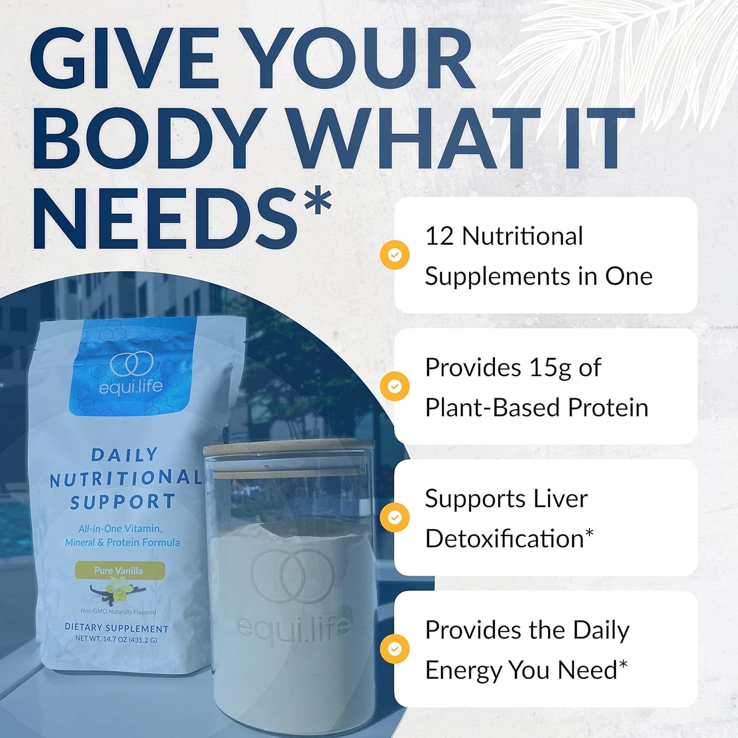 Organic Plant-Based Protein Powder with Multivitamin for Daily Nutritional Support - Boost Energy, Mood, Gut Health, and Skin (Pure Vanilla, 14 Servings)