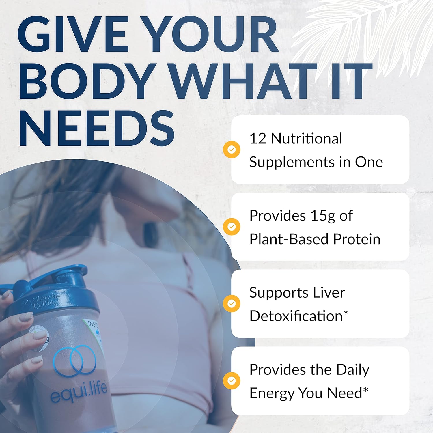 Organic Plant-Based Protein Powder with Multivitamin for Daily Nutritional Support - Boost Energy, Mood, Gut Health, and Skin (Pure Chocolate, 14 Servings)