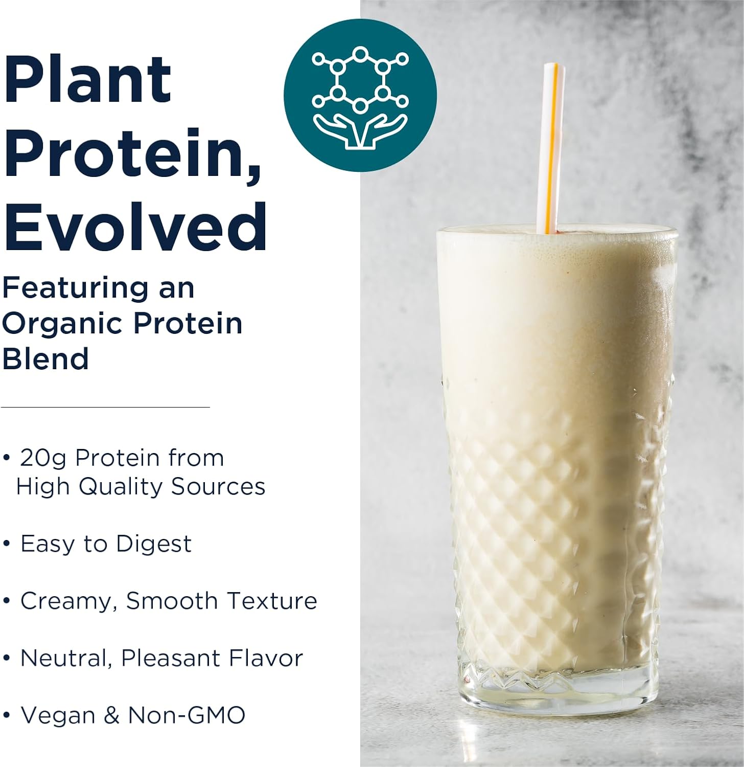 Organic Plant Protein Powder with Rice, Sacha Inchi, Pumpkin Seed, Sunflower Seed & Pea Blend - Creamy Vanilla Flavor - 20g Protein - 465g