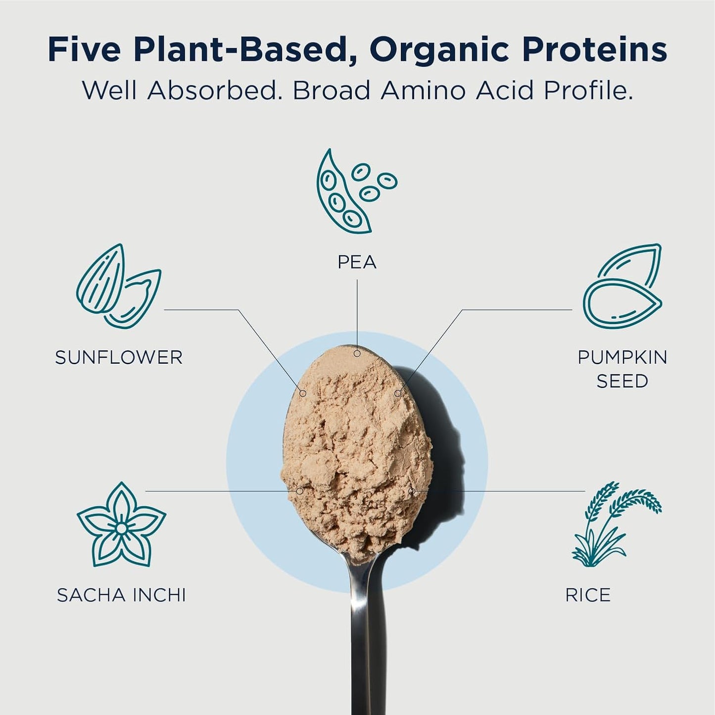 Organic Plant Protein Powder with Rice, Sacha Inchi, Pumpkin Seed, Sunflower Seed & Pea Blend - Creamy Vanilla Flavor - 20g Protein - 465g