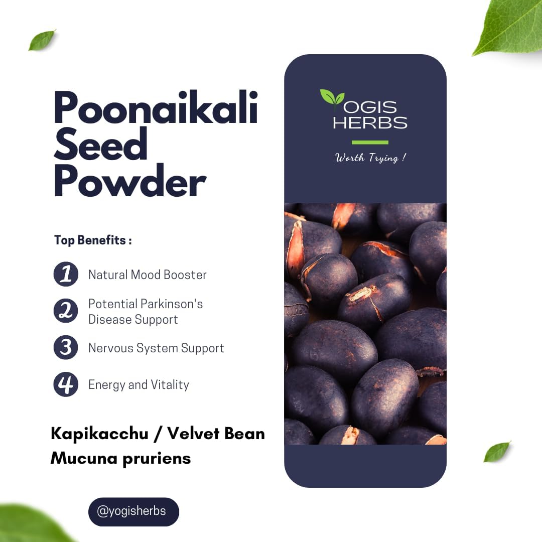 Organic Poonaikali Seed Powder for Vitality and Cognitive Support - 0.5 Lb Pack