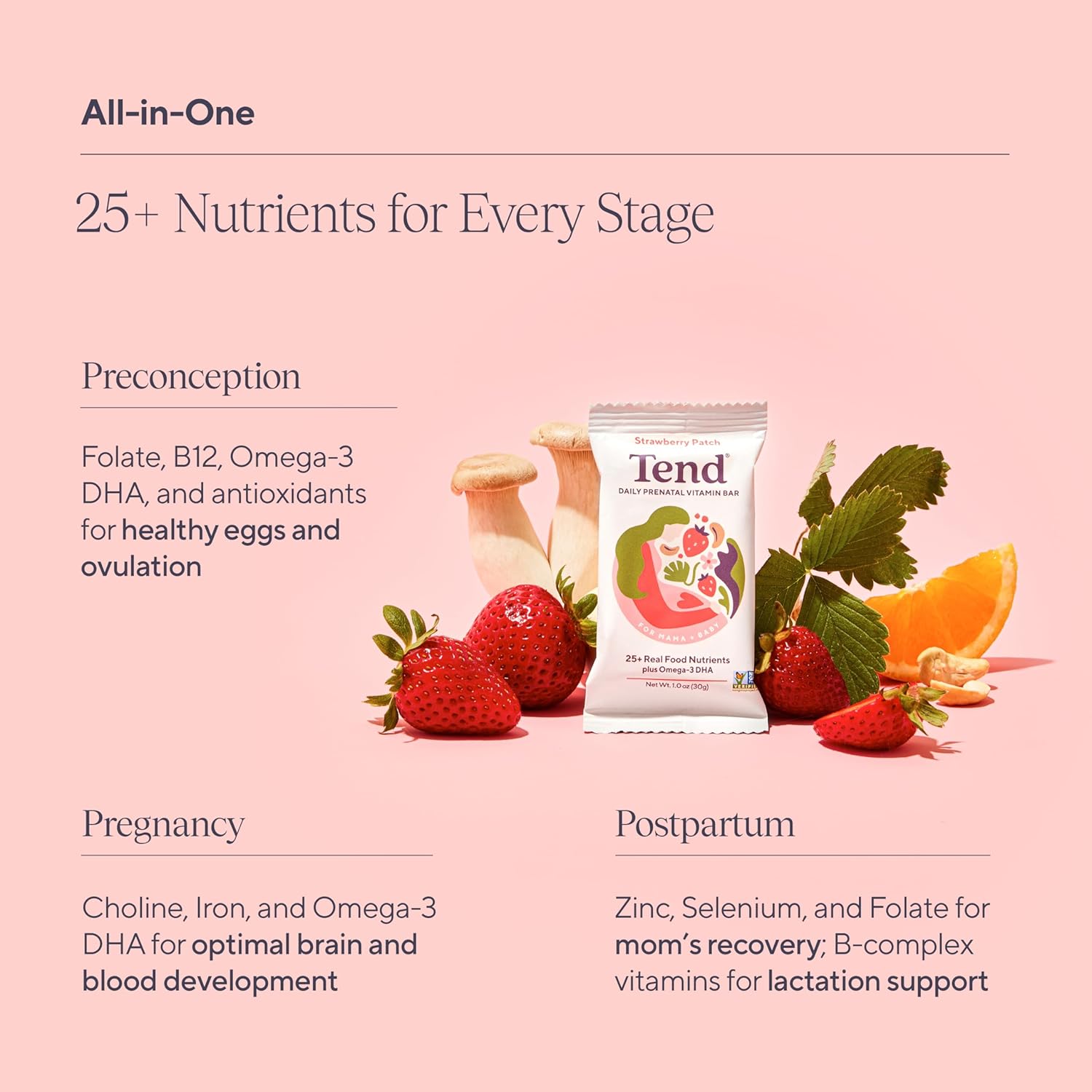 Organic Prenatal Vitamin Bar with DHA, Vitamin D, Choline, Folate - Strawberry Patch Flavor (7ct) for Pregnant & Postpartum Moms