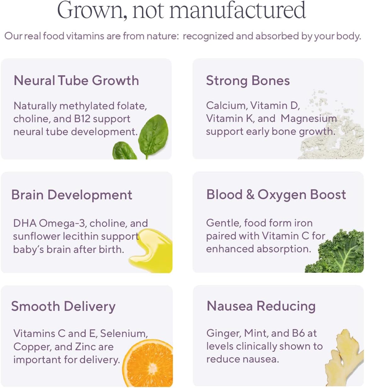 Organic Prenatal Vitamin Bar with DHA, Vitamin D, Choline, Folate - Strawberry Patch Flavor (7ct) for Pregnant & Postpartum Moms