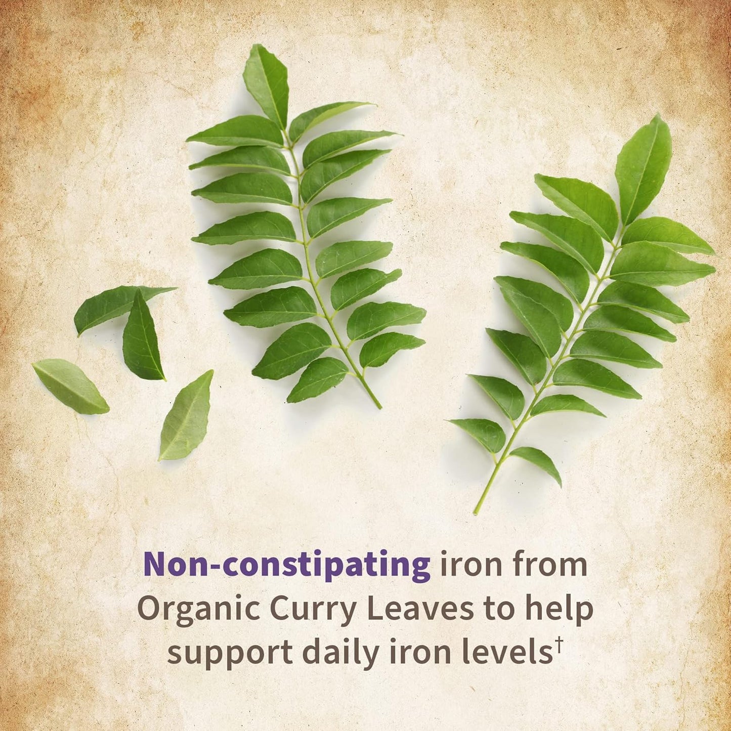 Organic Prenatal Vitamin with Folate for Energy & Healthy Fetal Development, Non-Constipating Iron, Vitamin C, B6, B12, D3 - Non-GMO, Gluten-Free, Vegan - 90 Day Supply by Garden of Life Organics